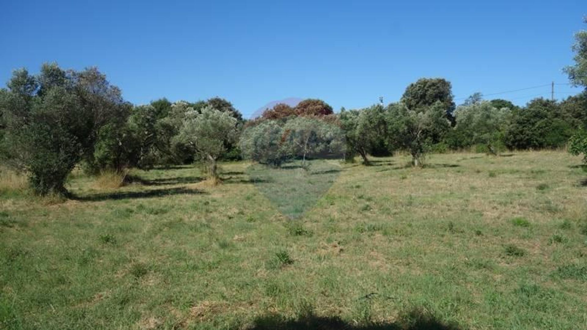 Land in Pula, Istarska Zupanija 12036765