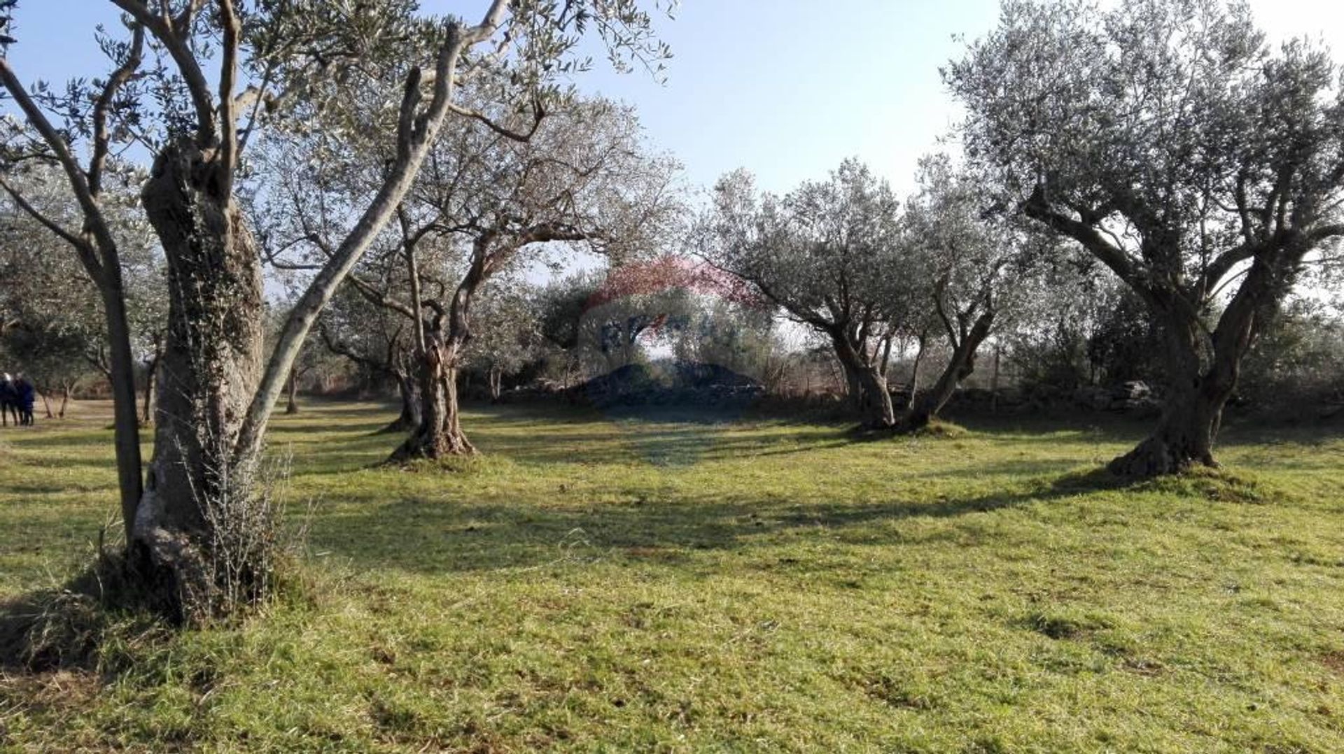 Land i Fazana, Istarska Zupanija 12036853