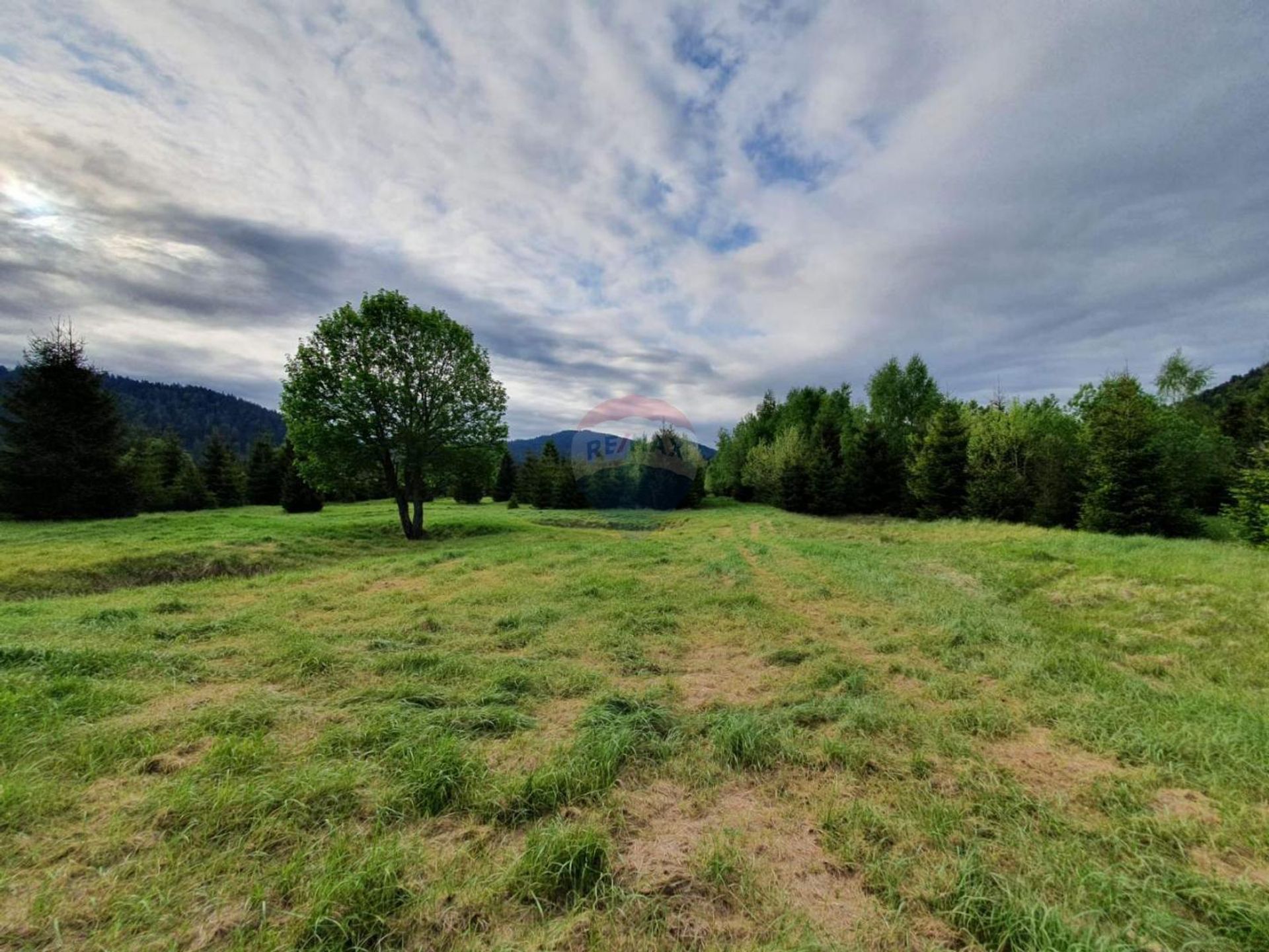 Land im Ravna Gora, Primorsko-goranska županija 12037110