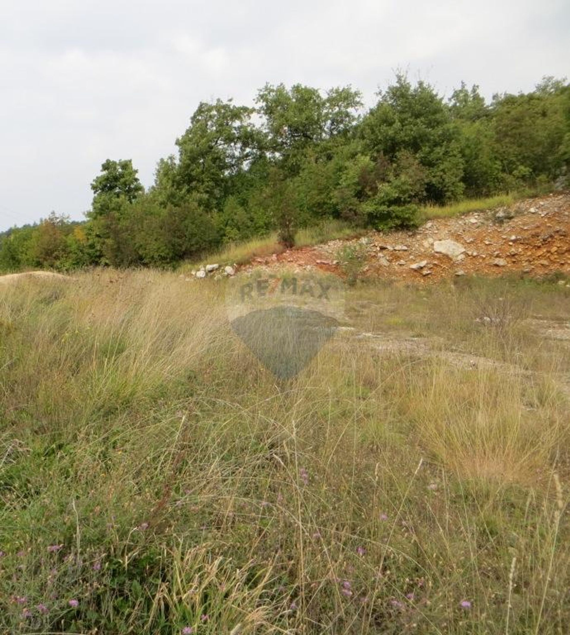 ארץ ב בריביר, פרימורסקו-גורנסקה זופנייה 12037249