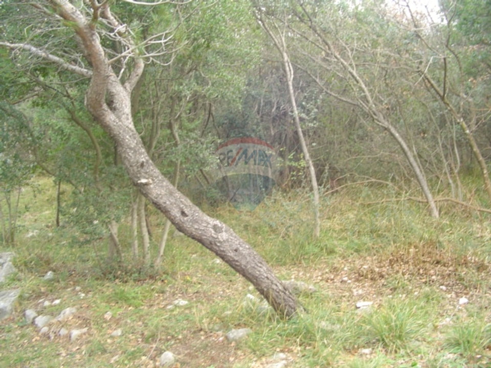 土地 在 科斯特雷纳, 滨海边疆区-山区祖帕尼娅 12037396