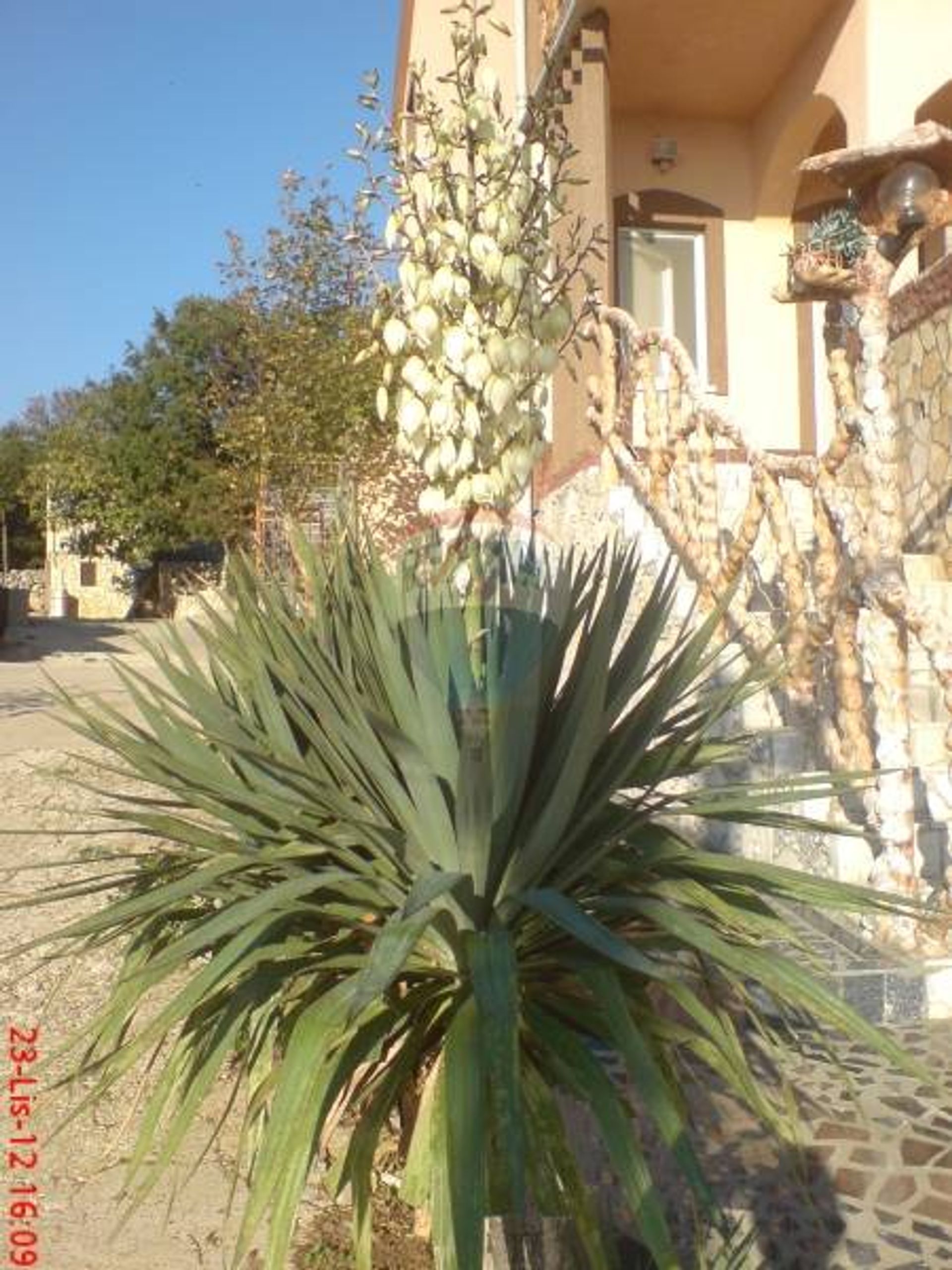 House in Sibinj Krmpotski, Primorsko-goranska županija 12037554