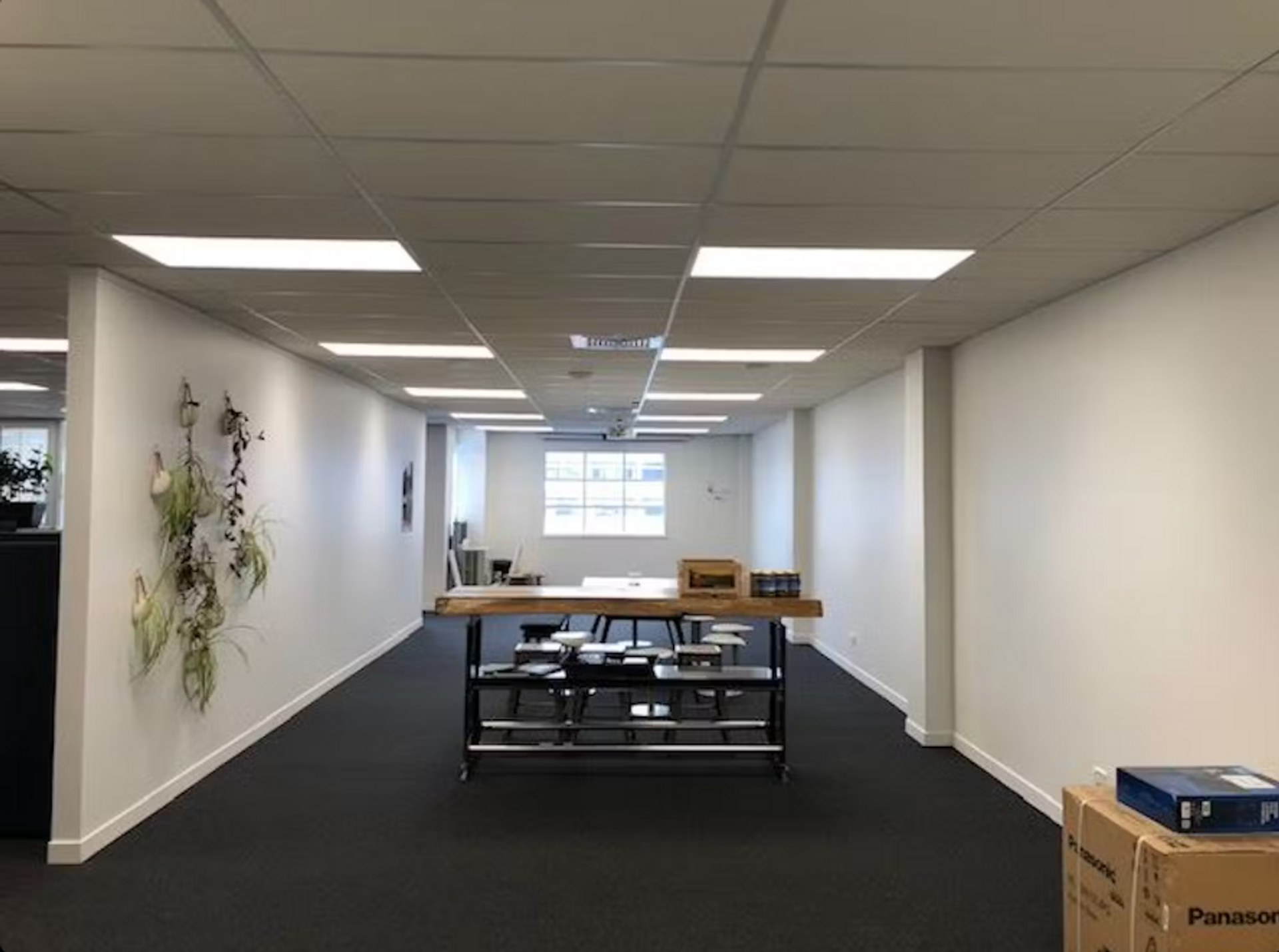 Αλλα σε Auckland, 1 Huron Street 12037812