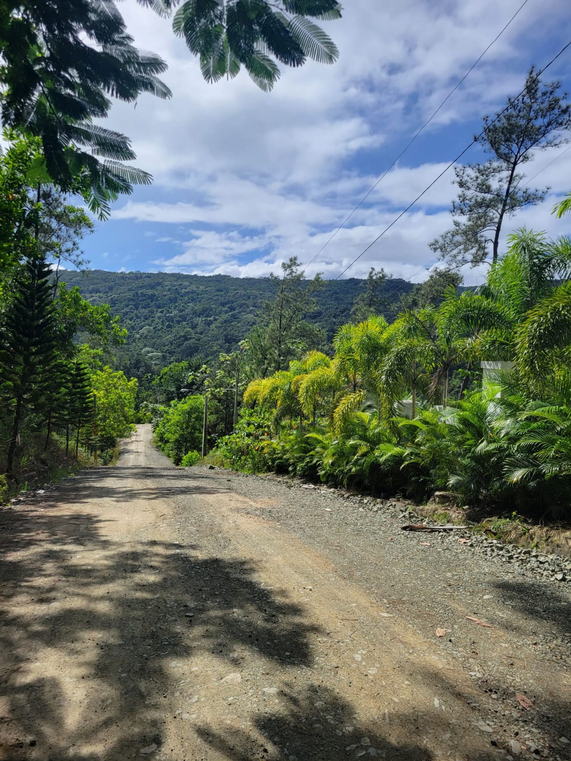 Borettslag i Jarabacoa, Cibao Sur 12040089