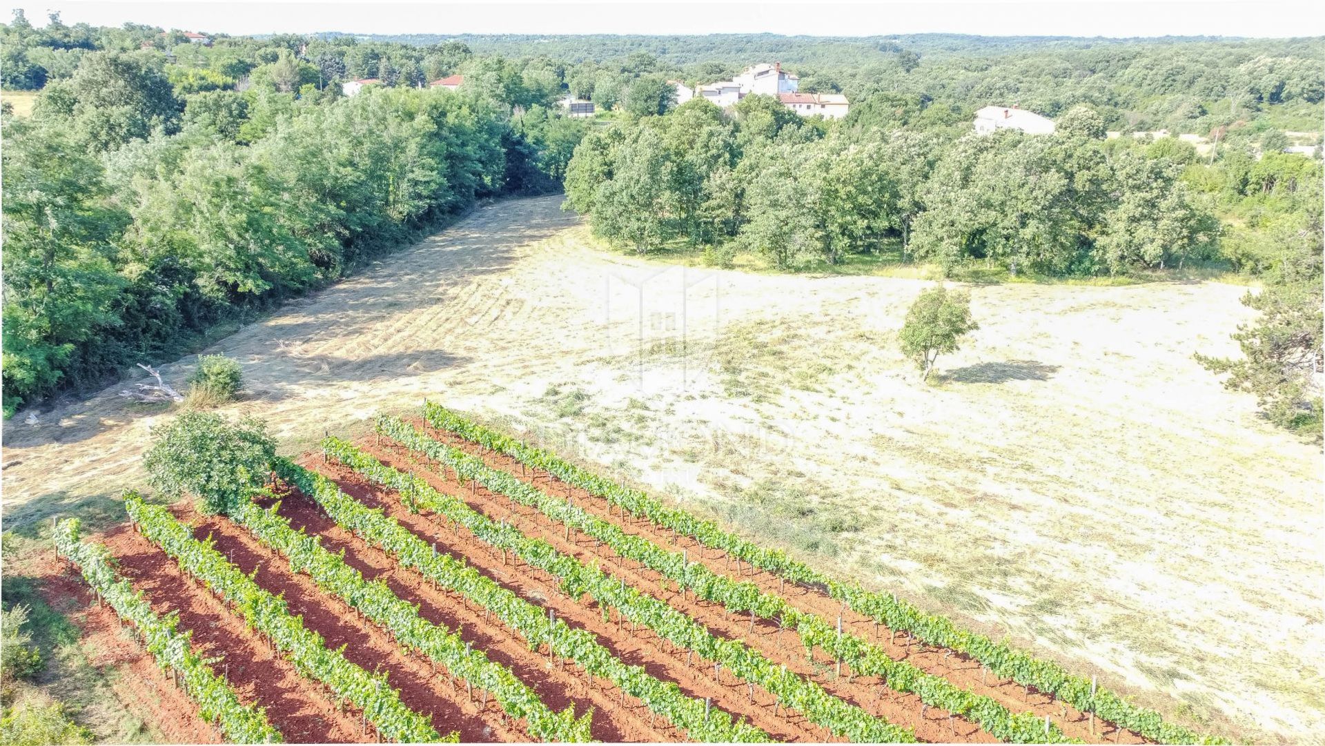 Land in Marcana, Istarska Zupanija 12041303