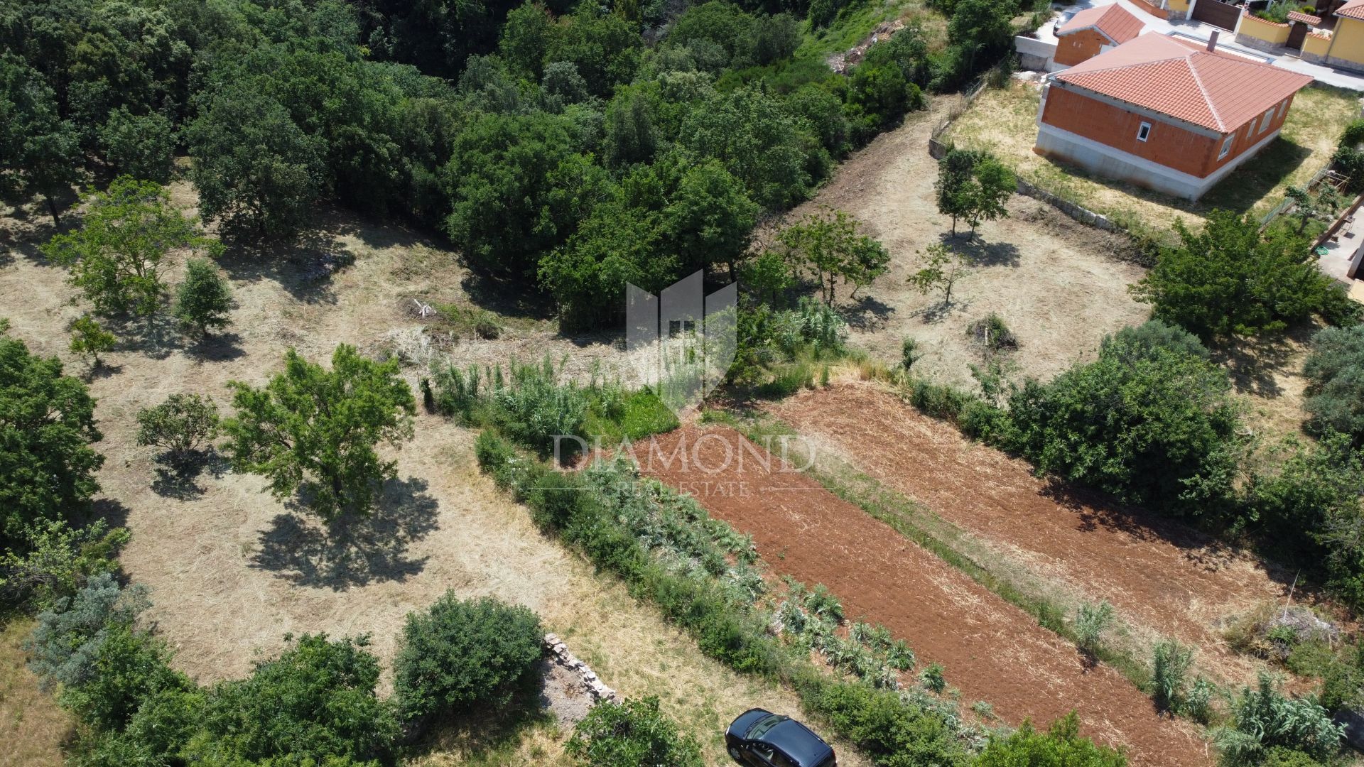 Land i Pula, Istarska Zupanija 12041305