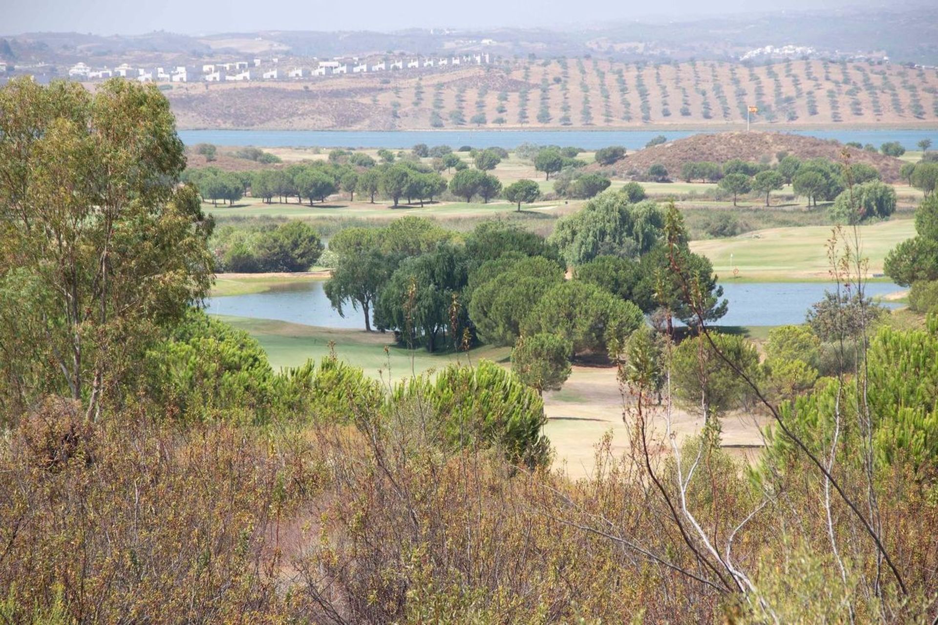 मकान में Ayamonte, Andalusia 12041649