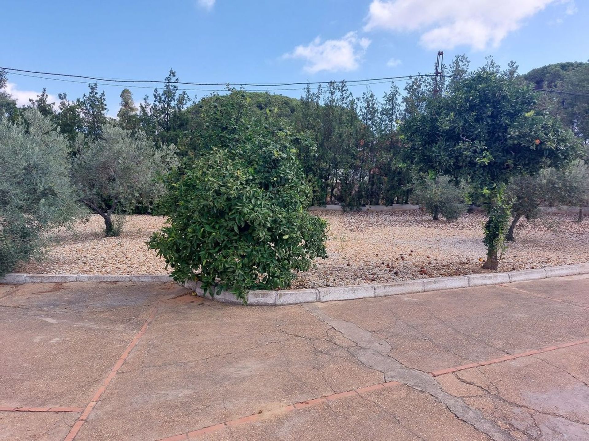 casa en Lucena del Puerto, Andalusia 12041684