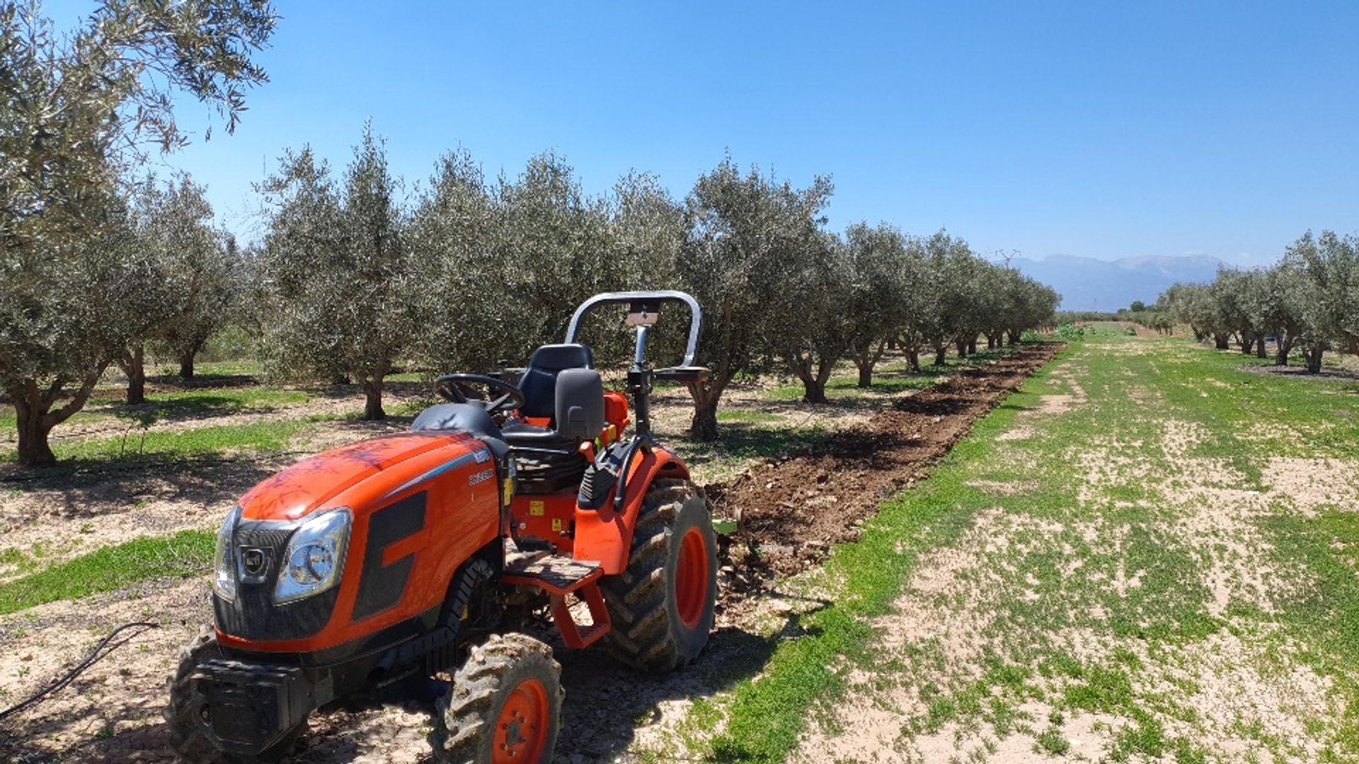 Terre dans , Región de Murcia 12042363