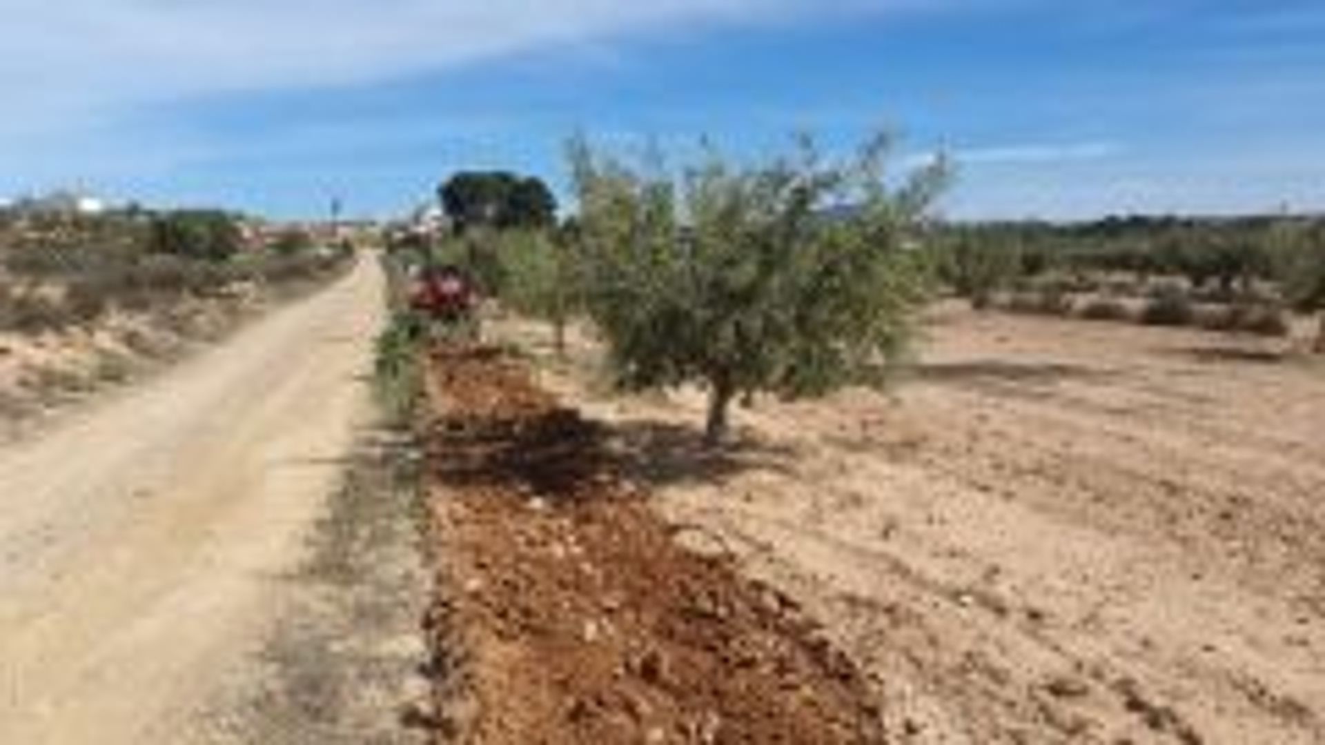 Terre dans , Región de Murcia 12042363