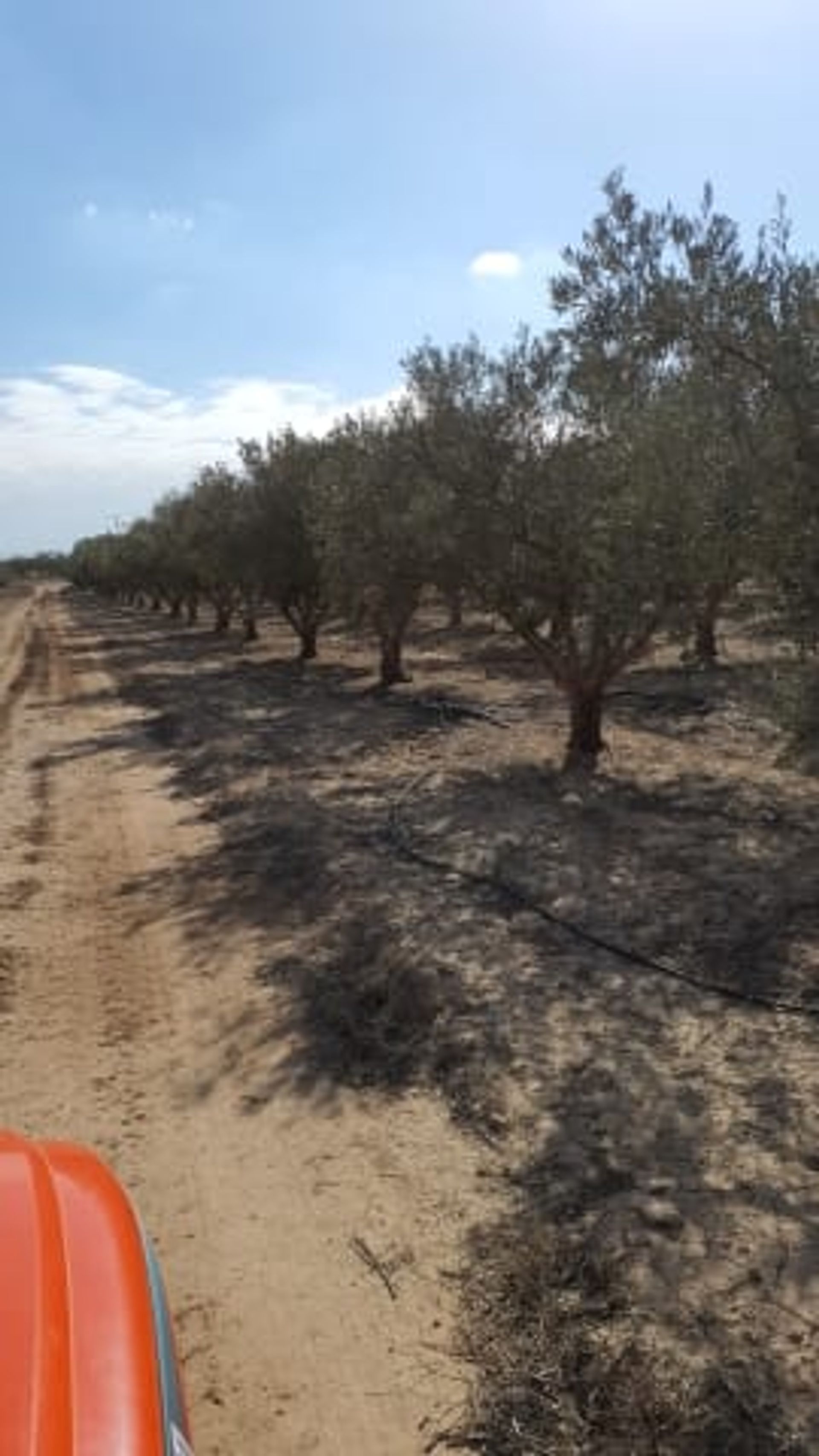 Terre dans , Región de Murcia 12042363