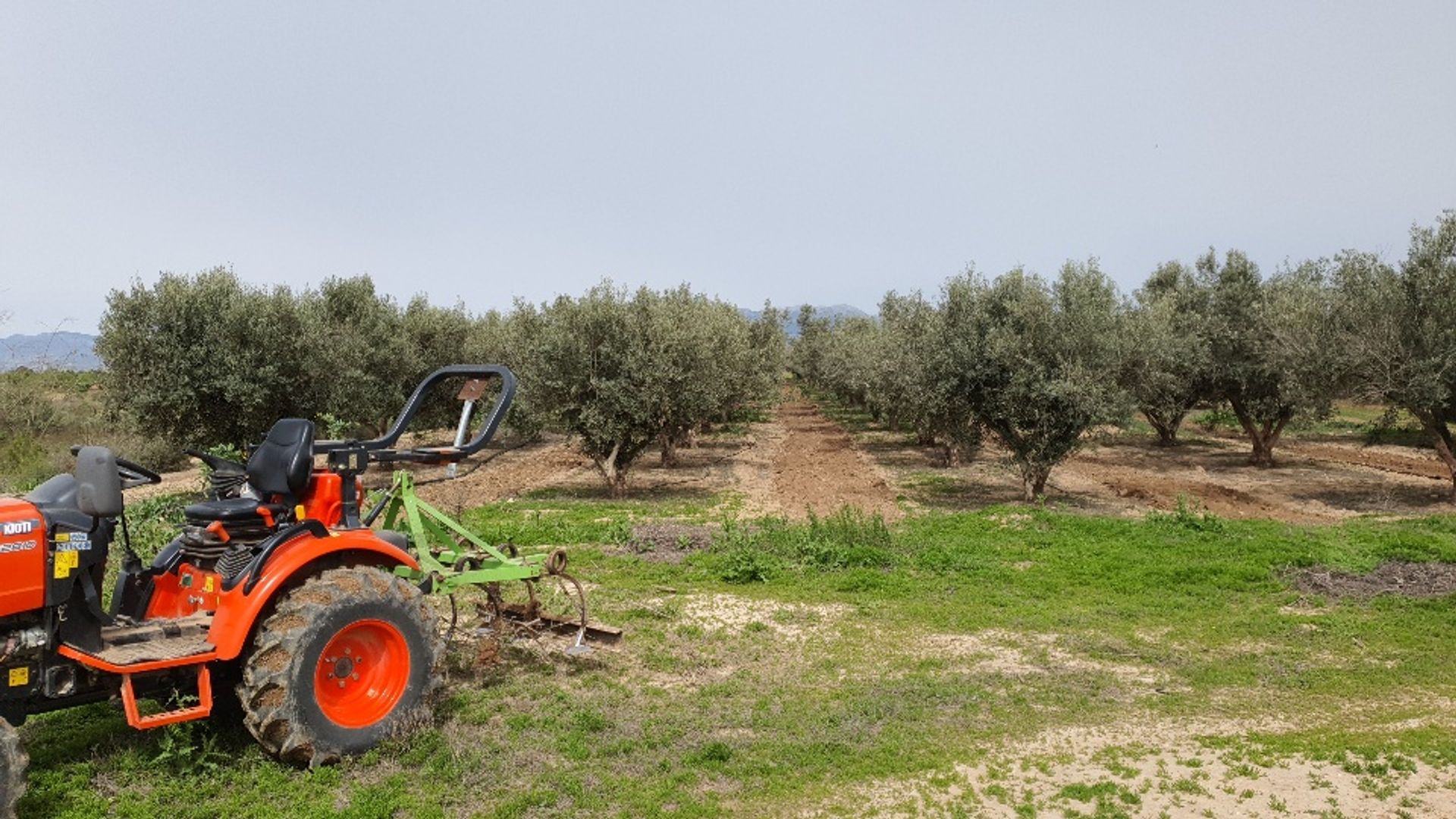 Terre dans , Región de Murcia 12042363