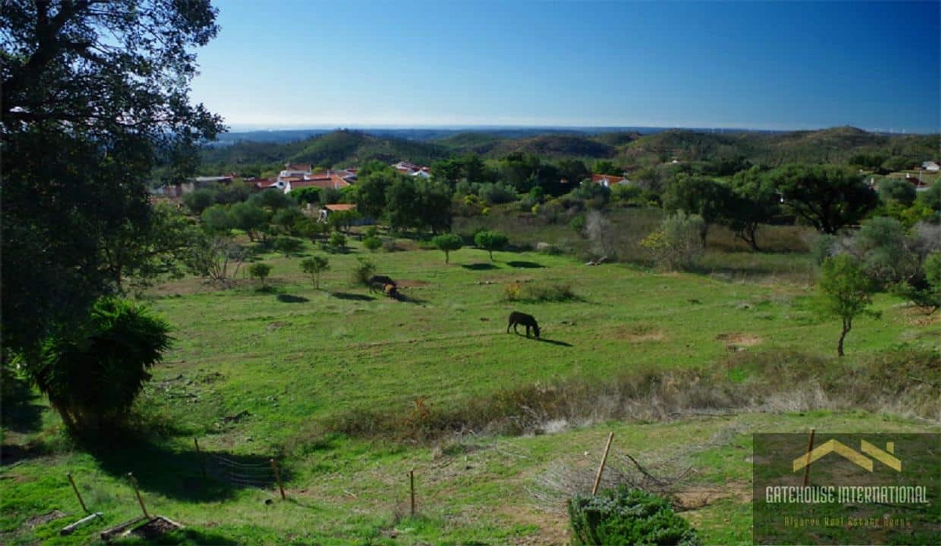 بيع بالتجزئة في Monchique, Faro 12042724