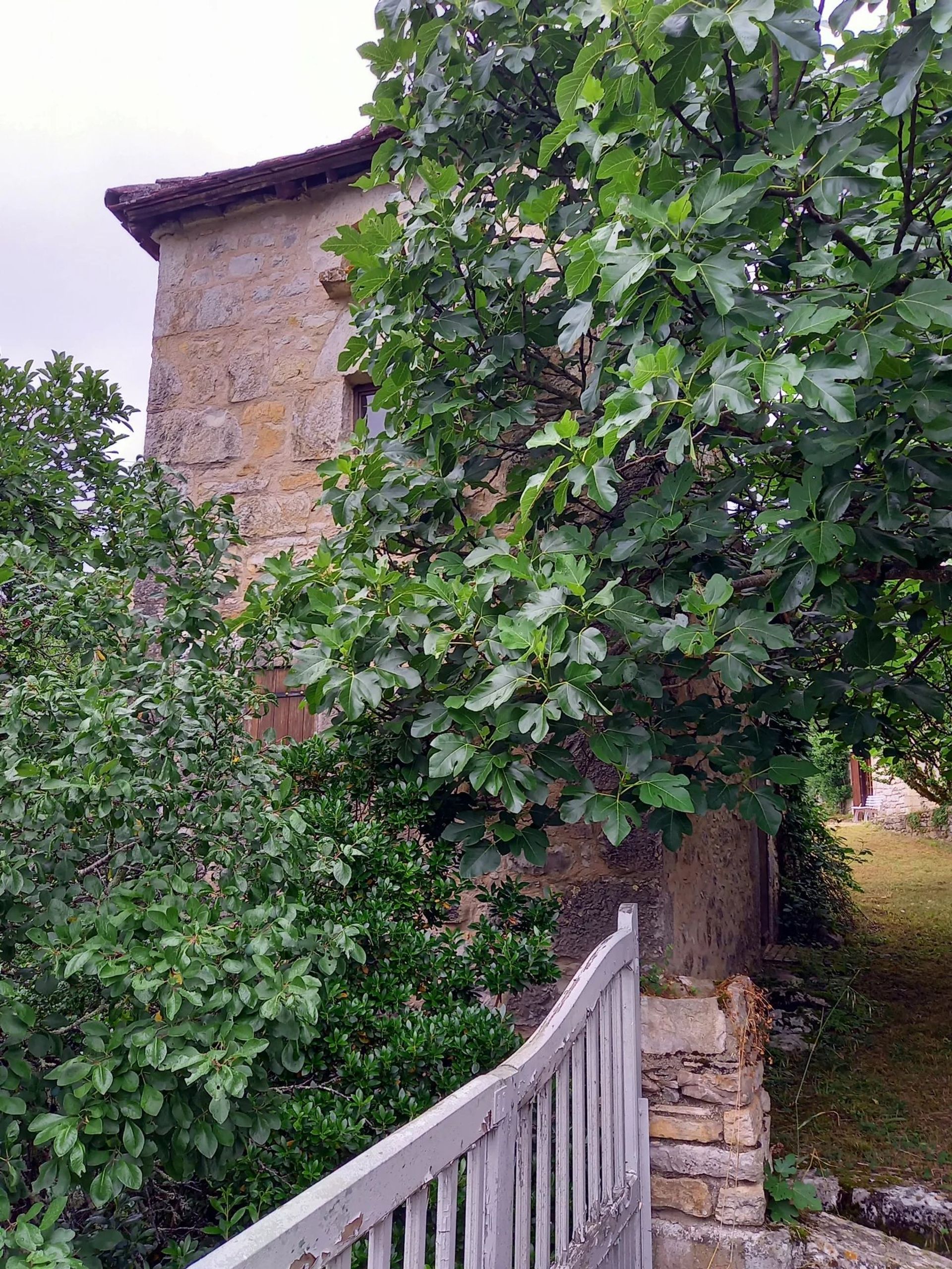 Talo sisään Cadrieu, Occitanie 12043314