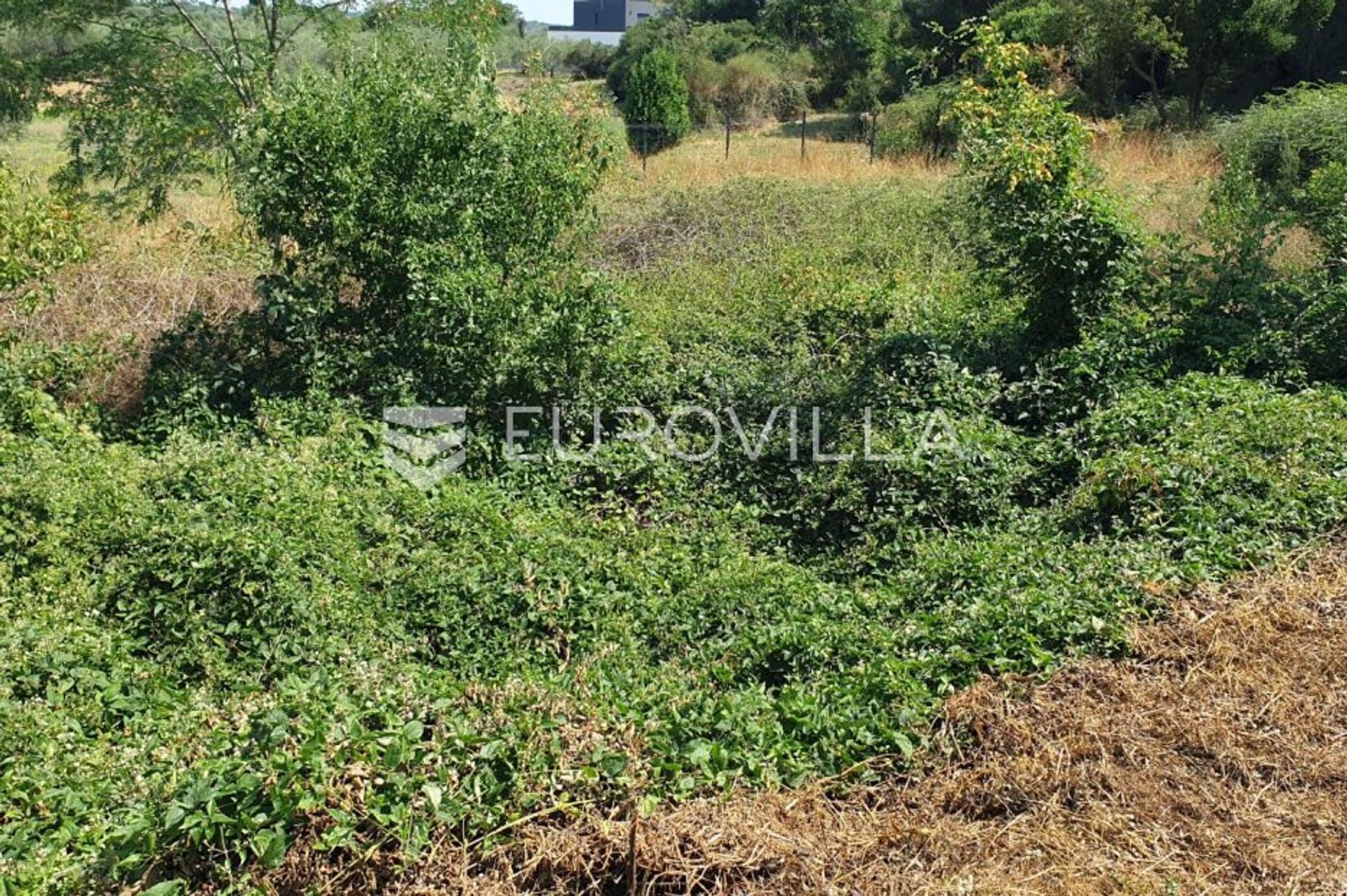 Land in Pula, Istarska Zupanija 12043472