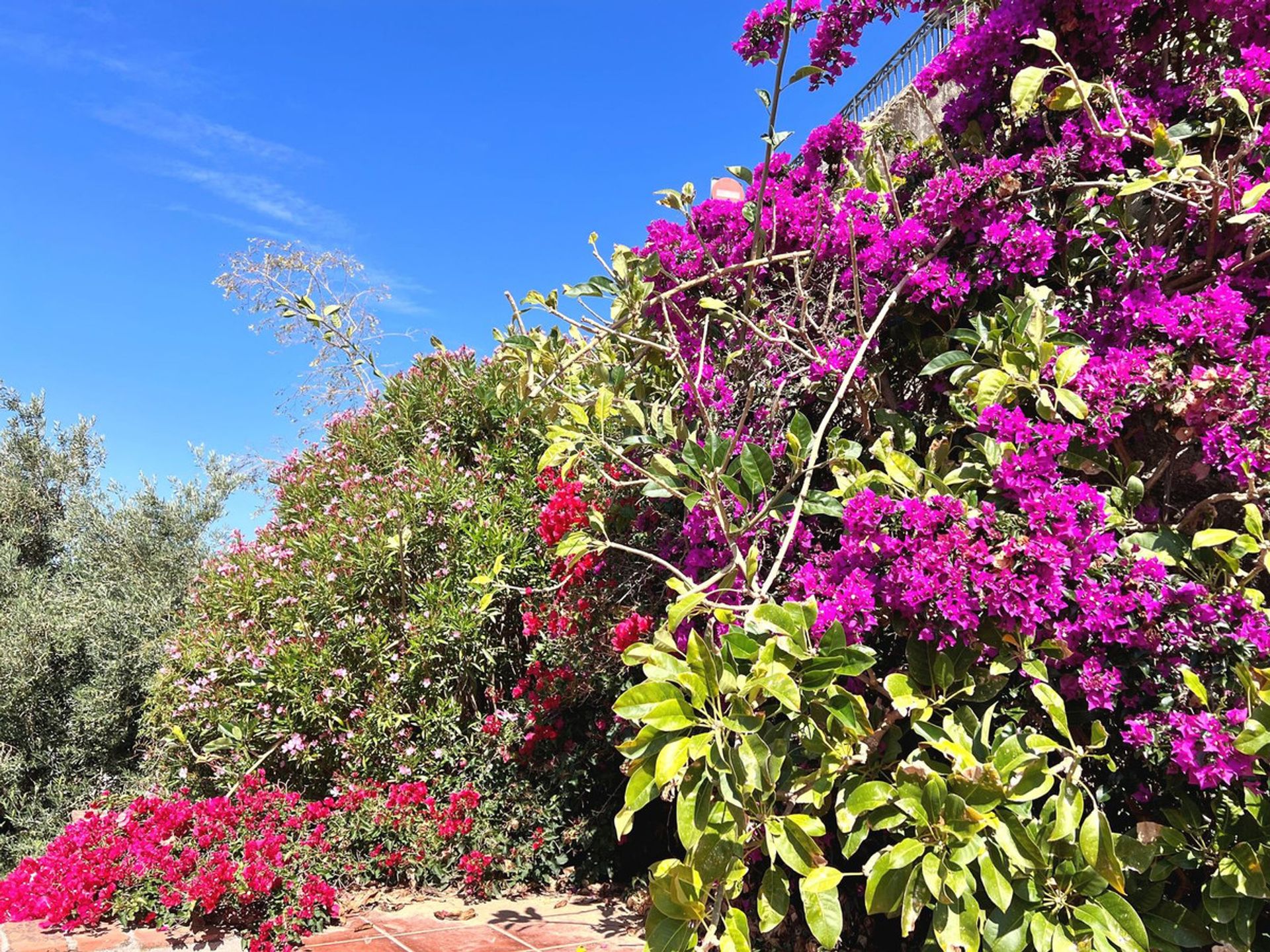 Кондоминиум в Mijas, Andalusia 12051110