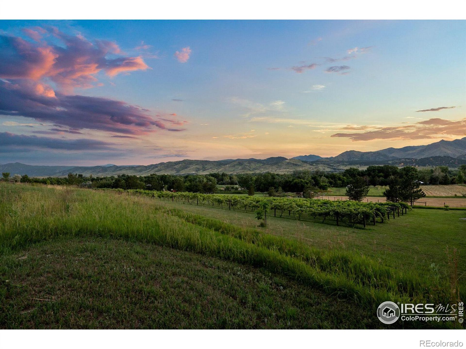 房子 在 Longmont, Colorado 12051634