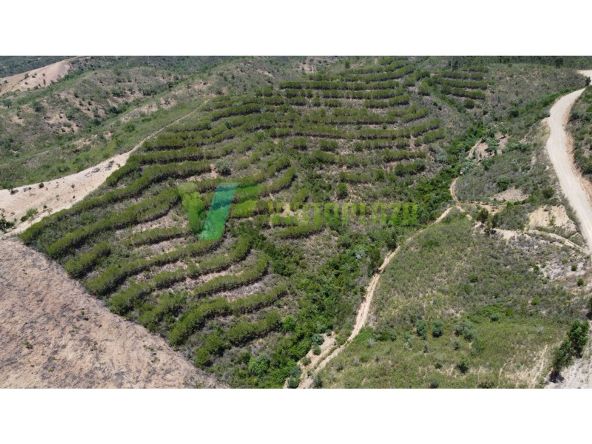 Land in Sao Bartolomeu de Messines, Faro 12051940