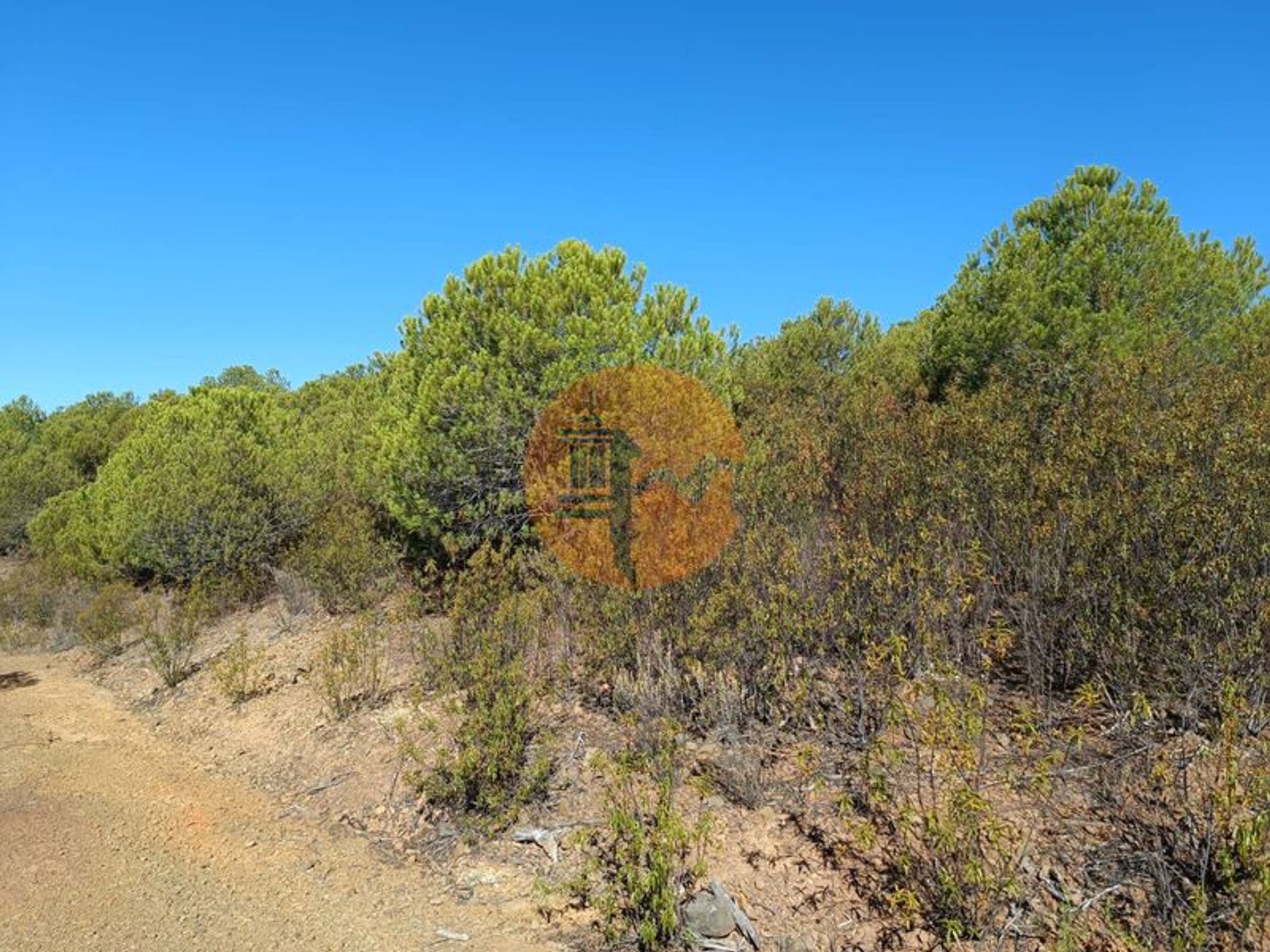 Terre dans Vaqueiros, Faro District 12052939