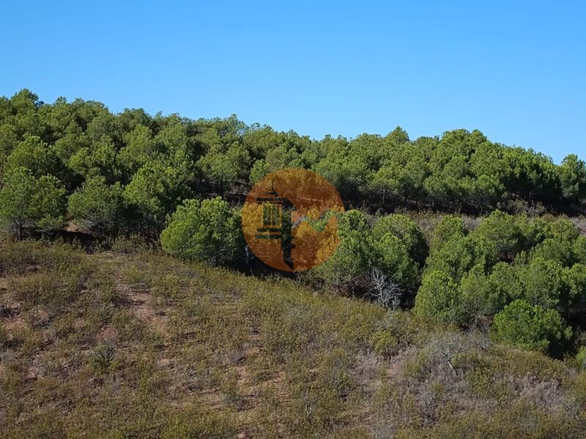 Land in Vaqueiros, Faro District 12052940