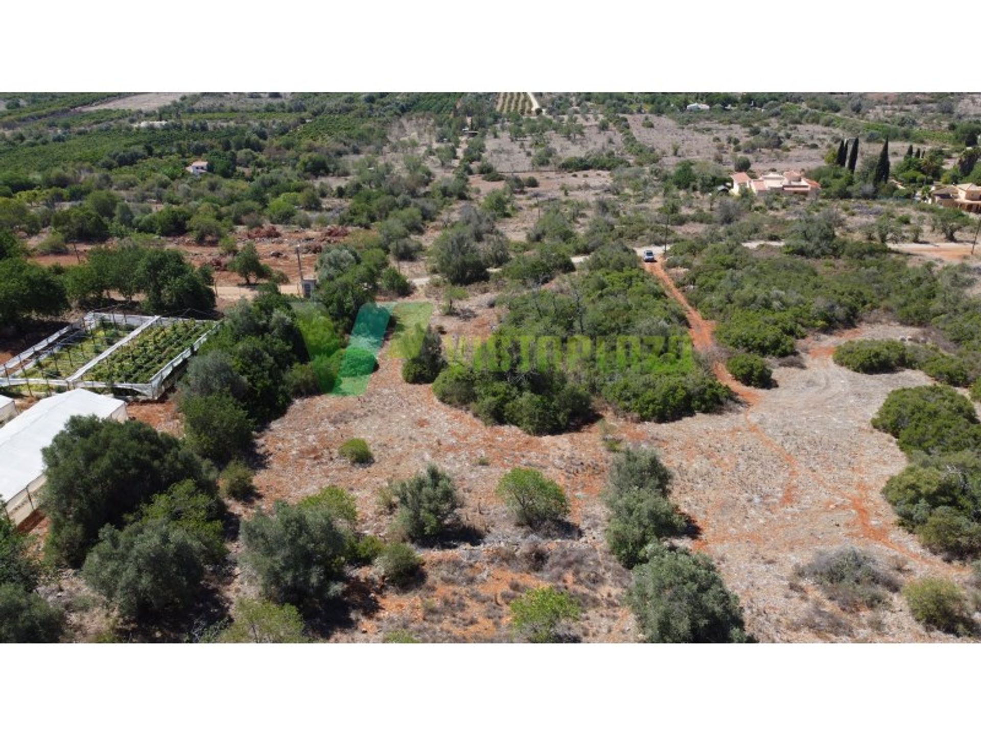 Terre dans Sao Bartolomeu de Messines, Faro 12052949