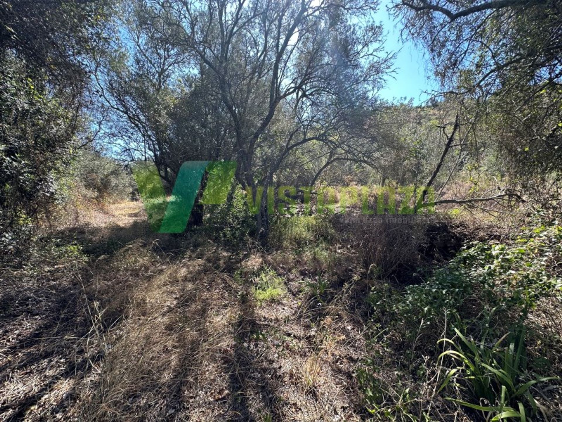 Tierra en São Bartolomeu de Messines, Faraón 12052950