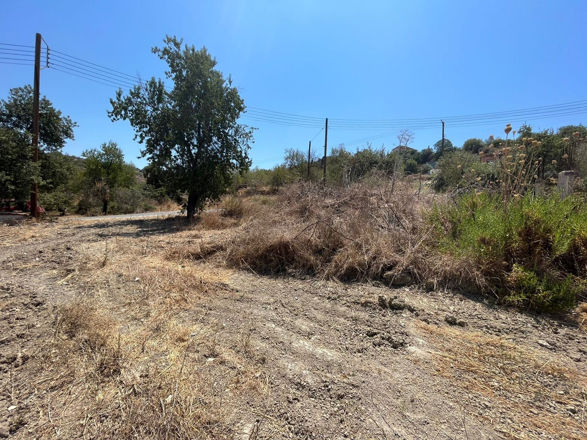 Land i Polis, Pafos 12054229