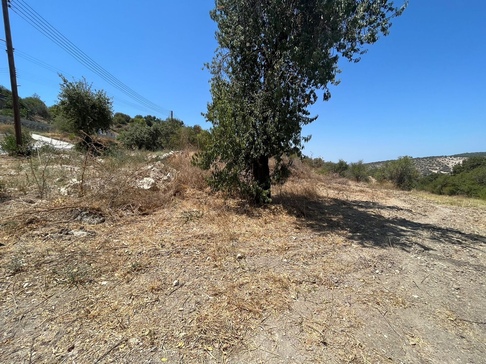 Land i Polis, Pafos 12054229