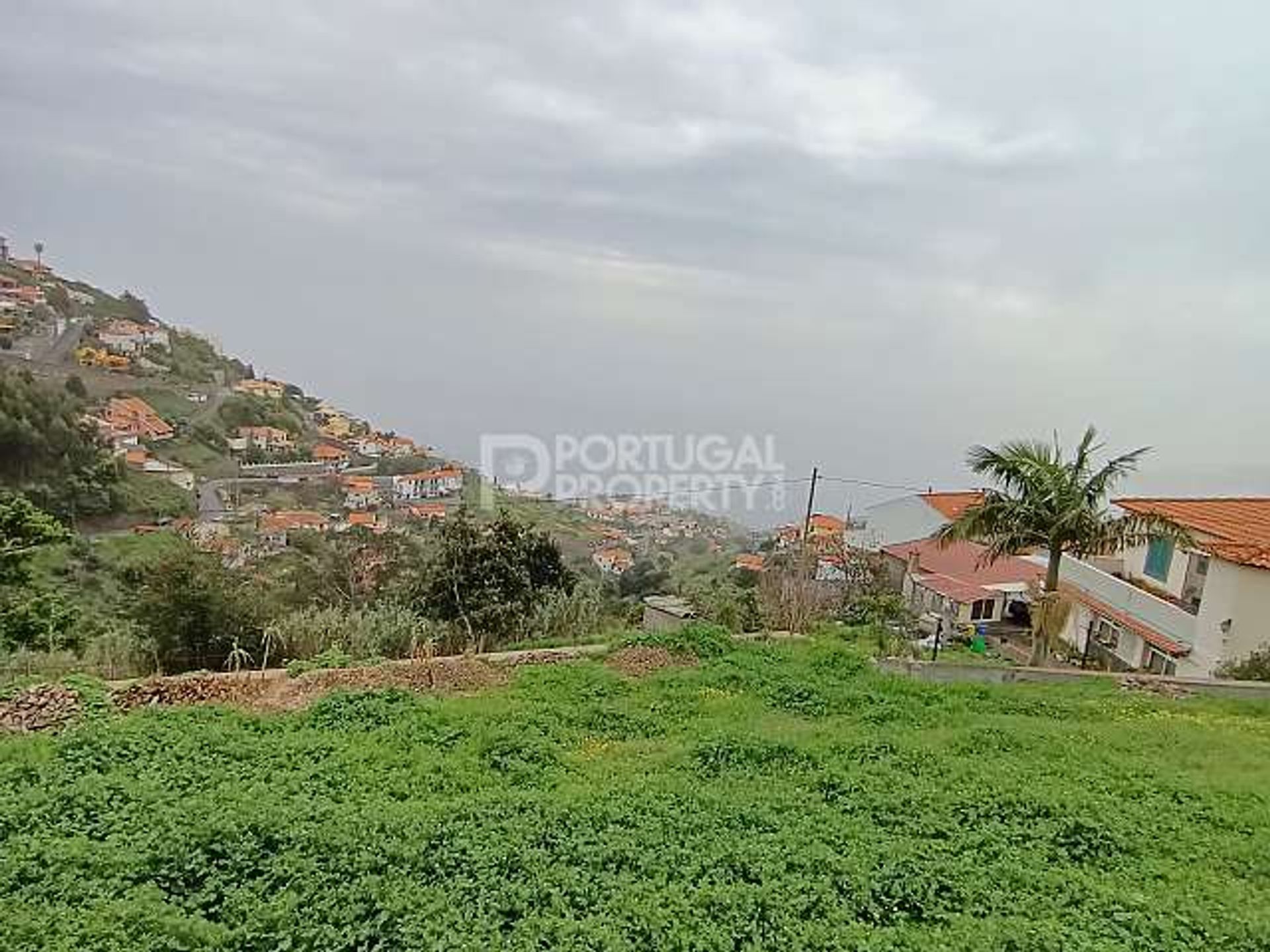 土地 在 Funchal, Madeira 12054837