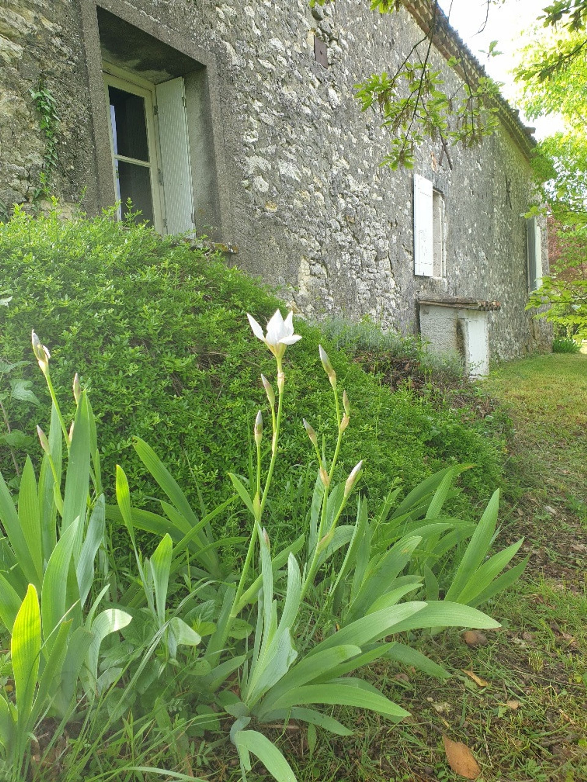 House in Lalandusse, Nouvelle-Aquitaine 12055219