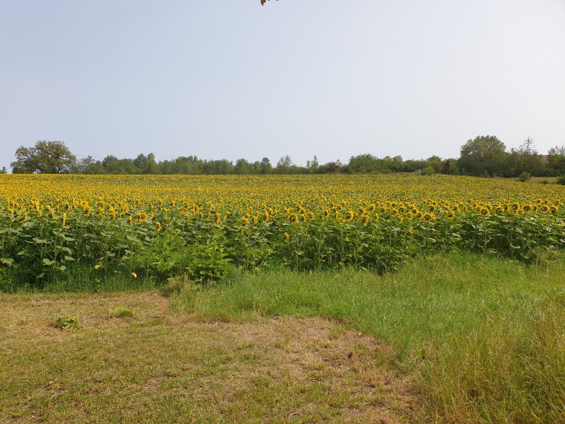 Кондоминиум в Montignac-Toupinerie, Nouvelle-Aquitaine 12055229