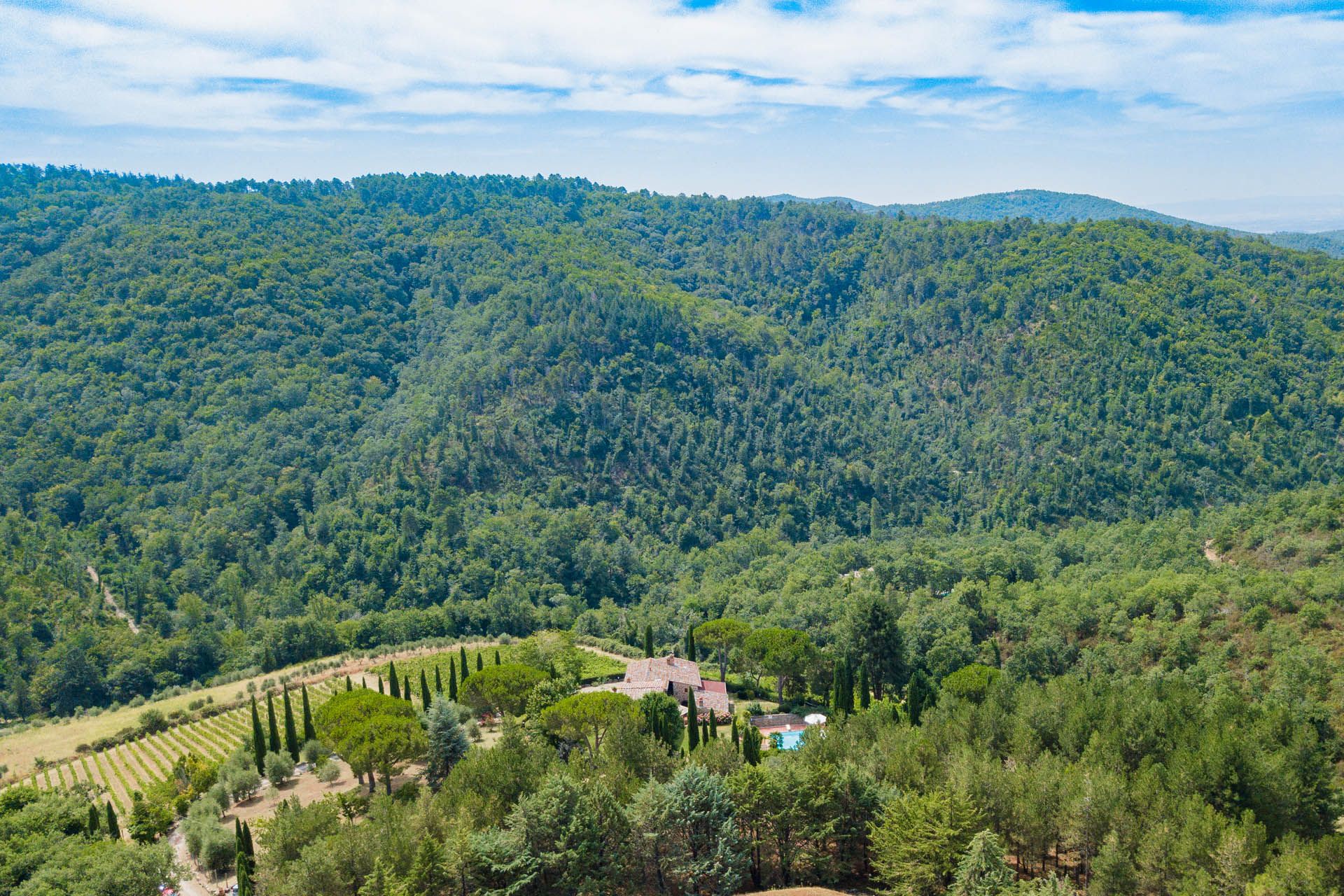 Будинок в Gaiole in Chianti, Tuscany 12057045