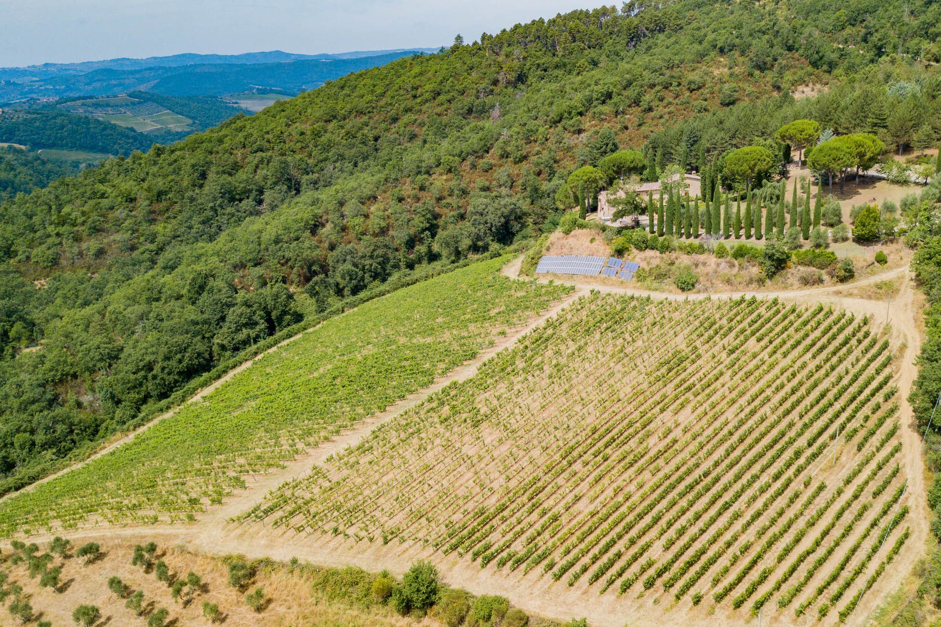 loger dans Gaiole in Chianti, Tuscany 12057097