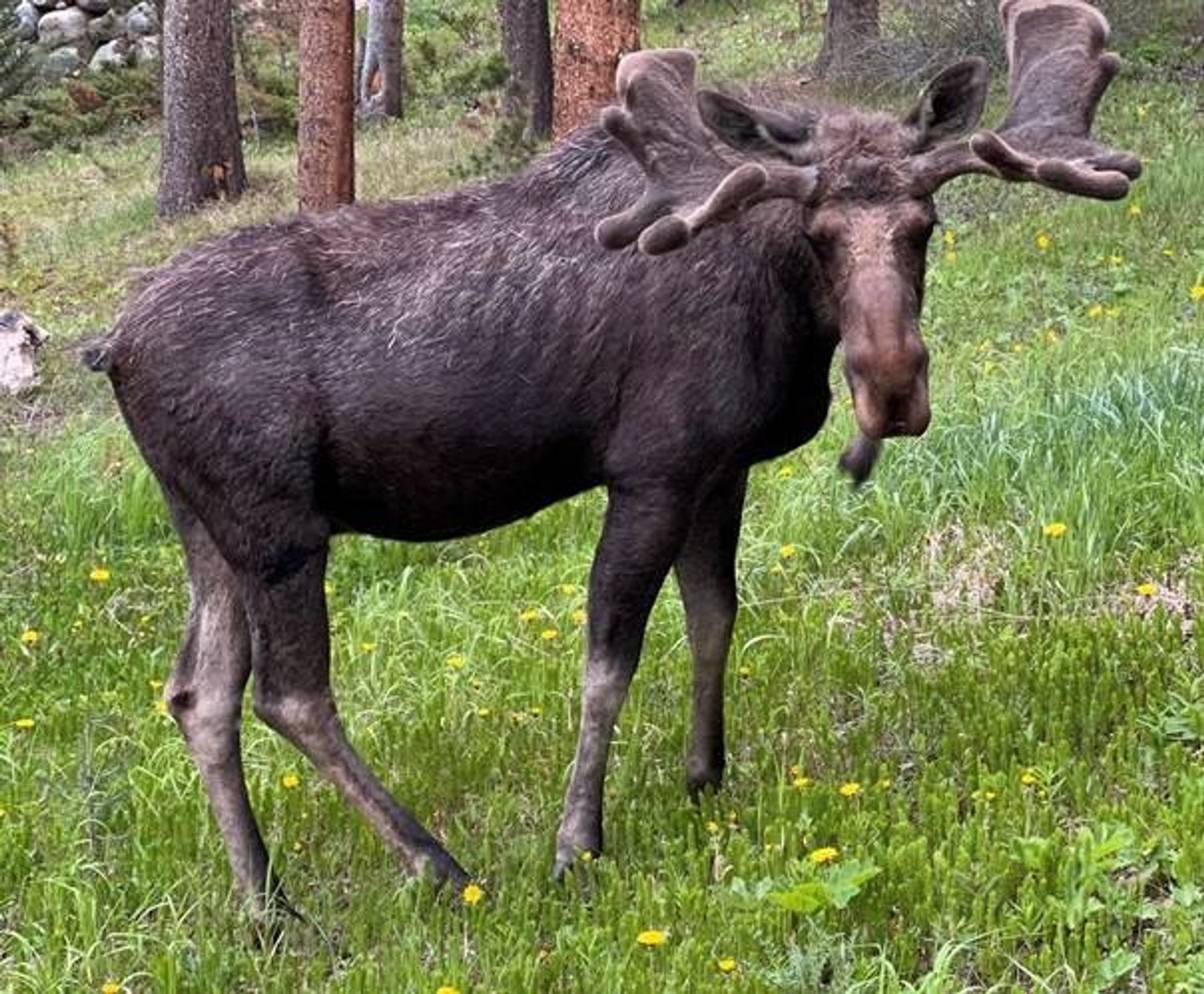 σπίτι σε Breckenridge, Colorado 12059728