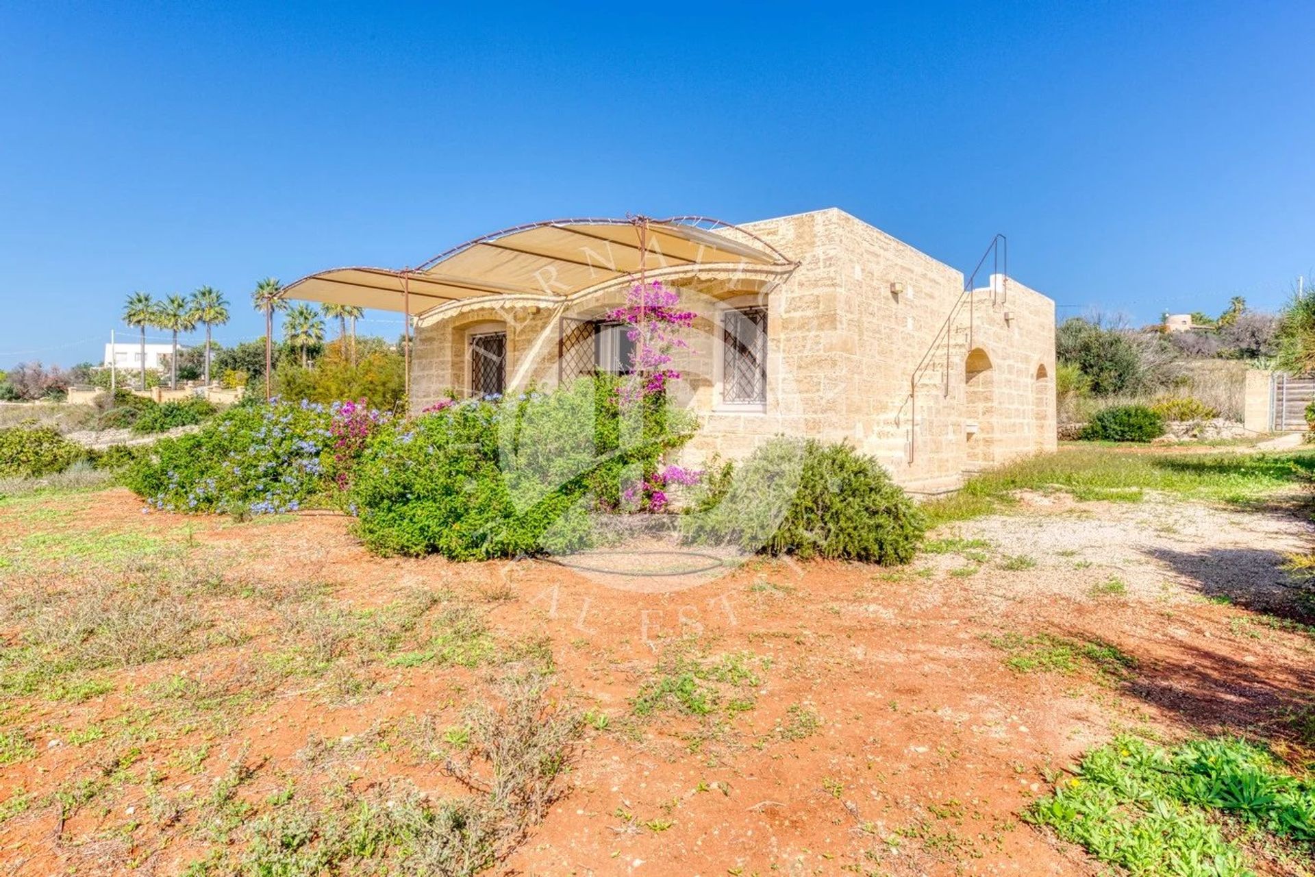 House in Morciano di Leuca, Puglia 12060043