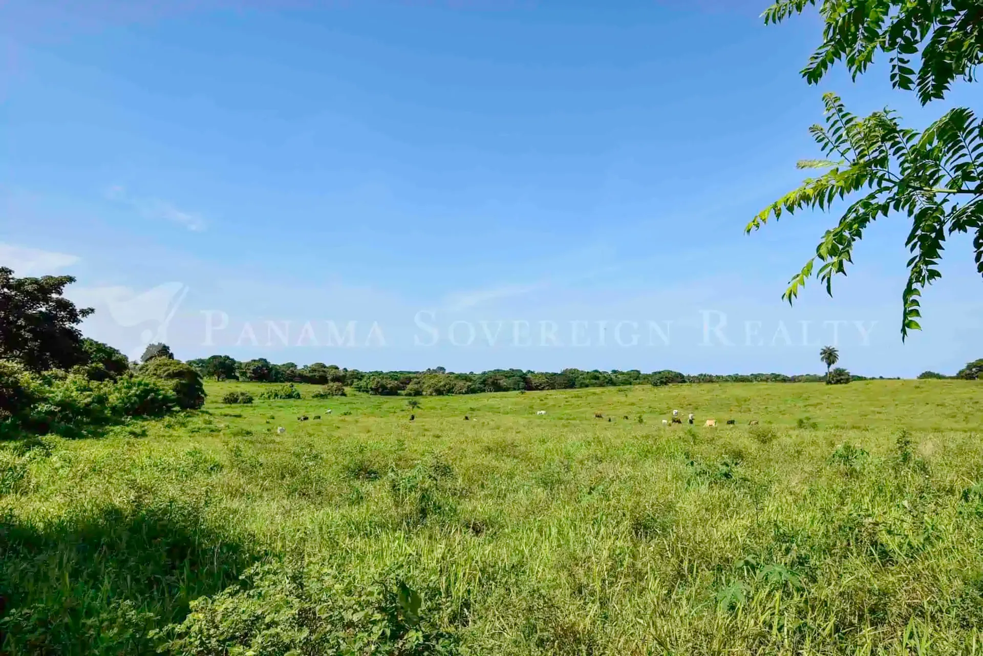 Land in , Provincia de Los Santos 12061473