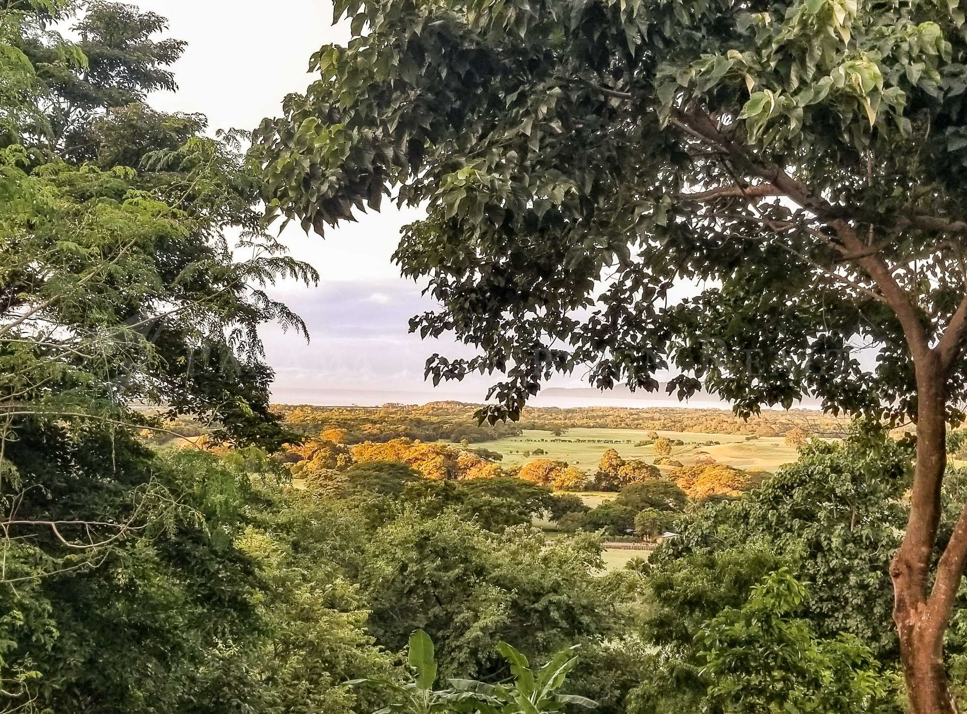 Borettslag i Ojo de Agua, Provincia de Los Santos 12061488