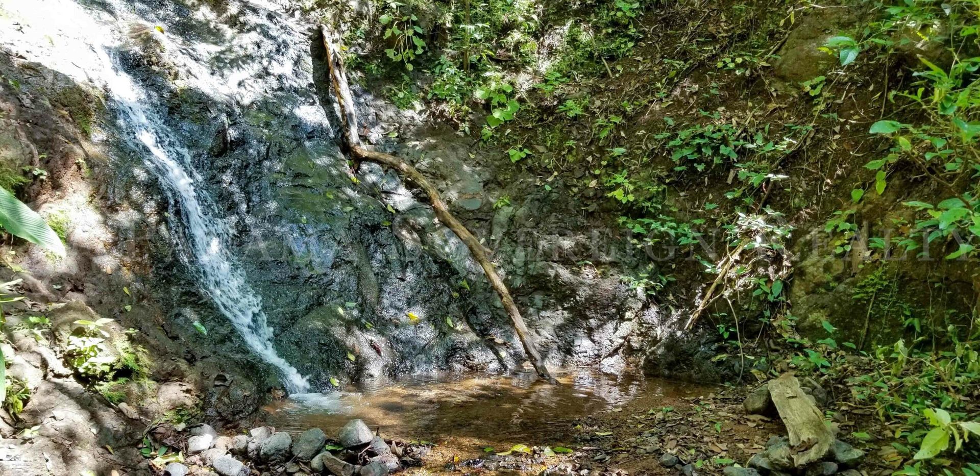 Borettslag i Ojo de Agua, Provincia de Los Santos 12061488