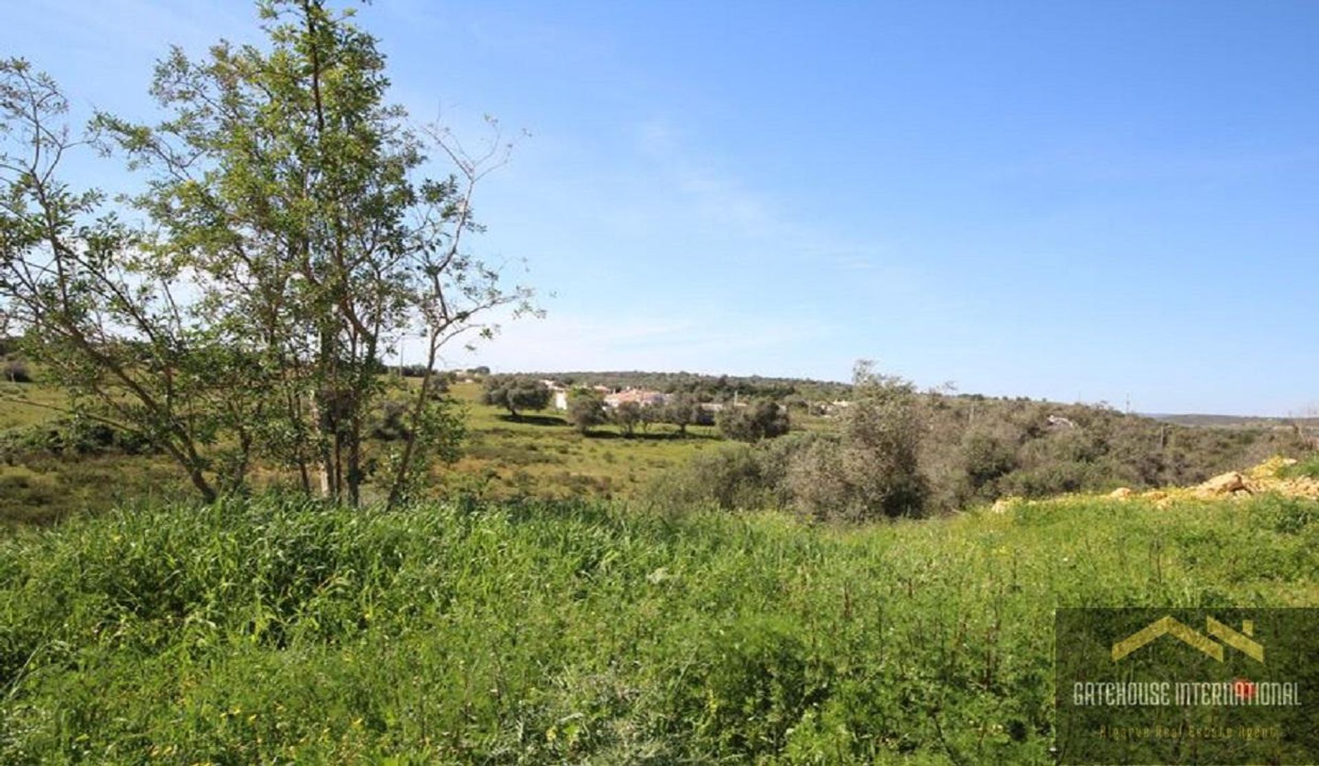 Land in Odiáxere, Faro 12064434