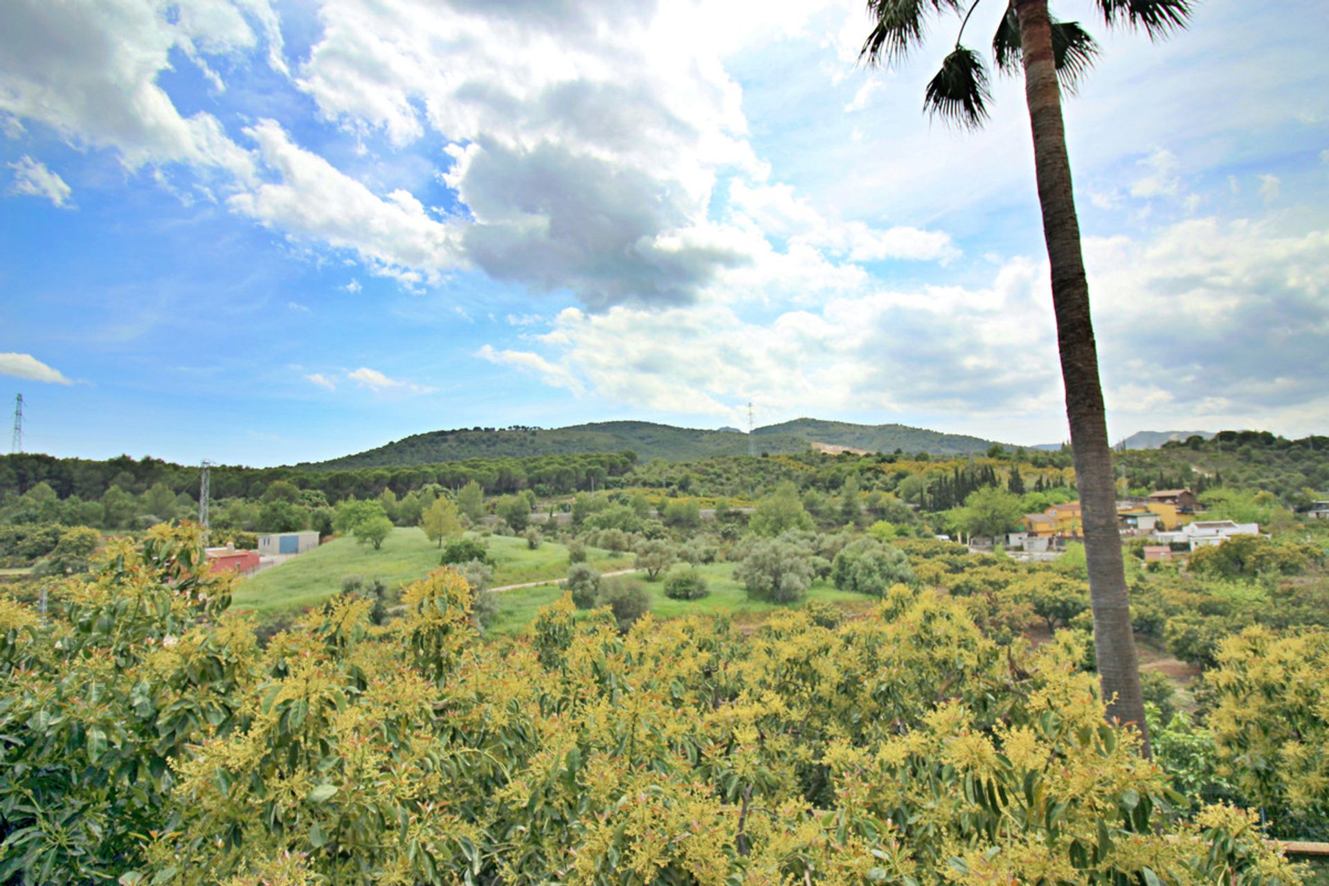 House in , Andalucía 12066234