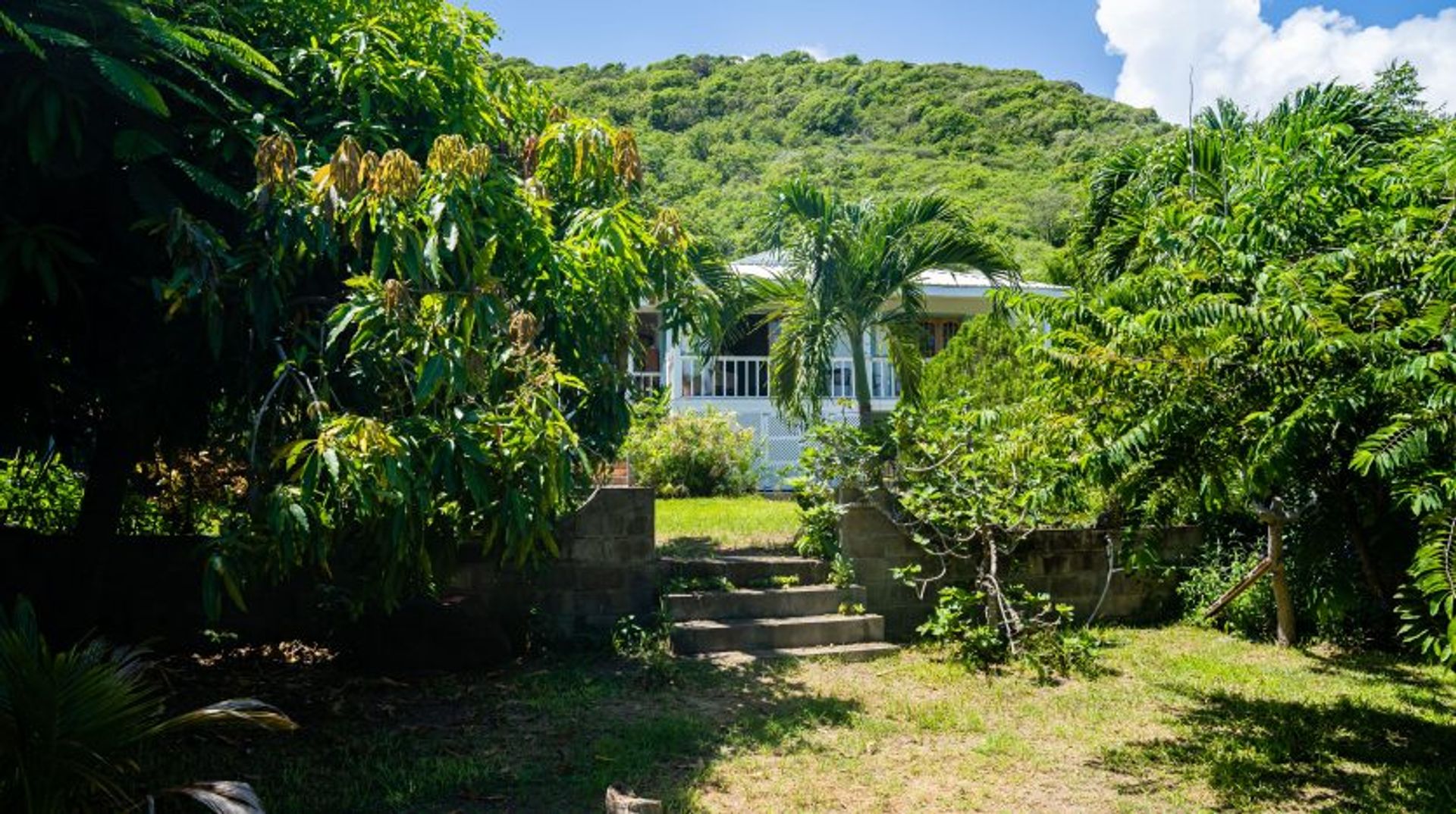 Casa nel Greatheeds, San Pietro Basseterre 12070015