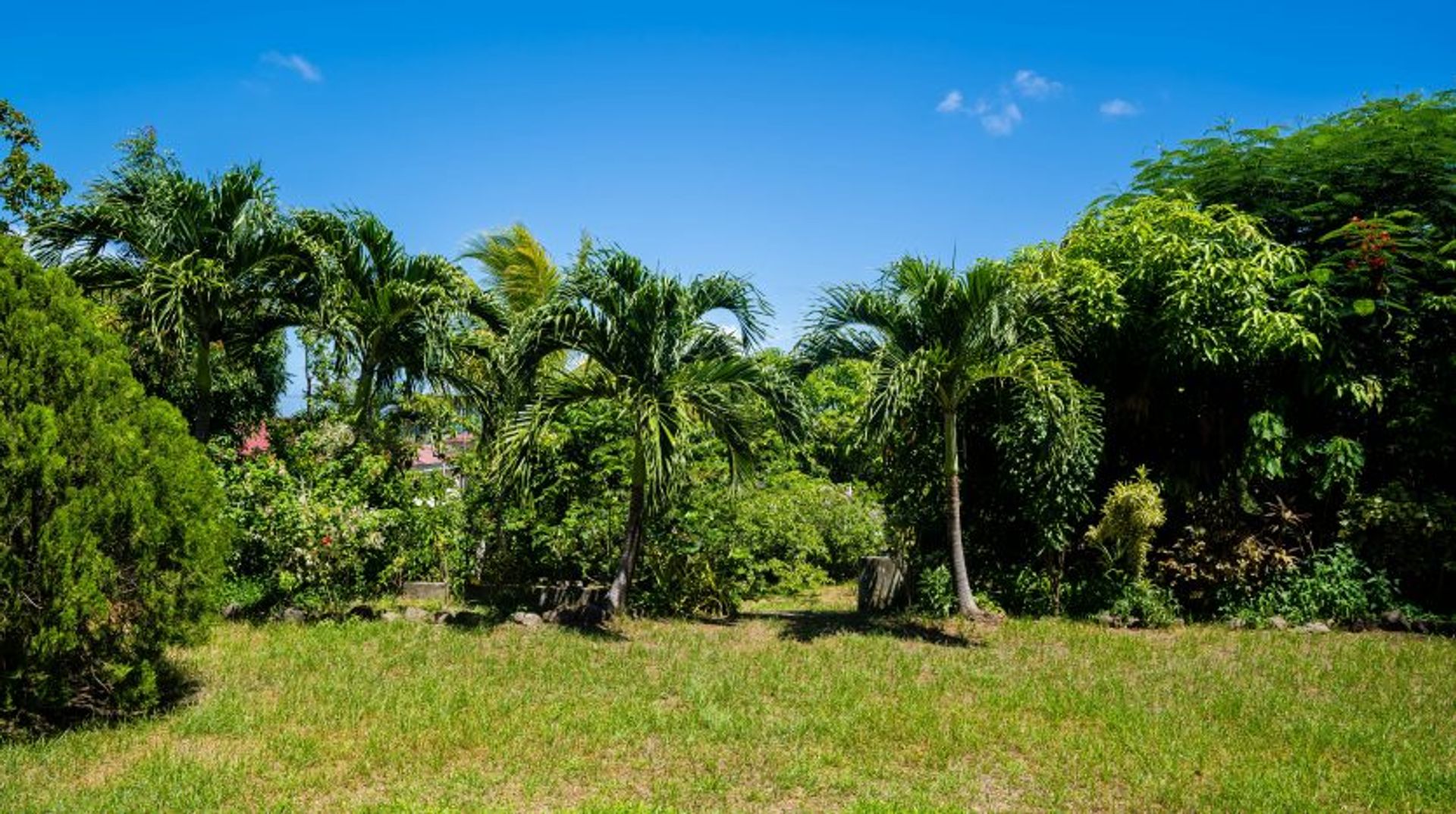 Casa nel Greatheeds, San Pietro Basseterre 12070015