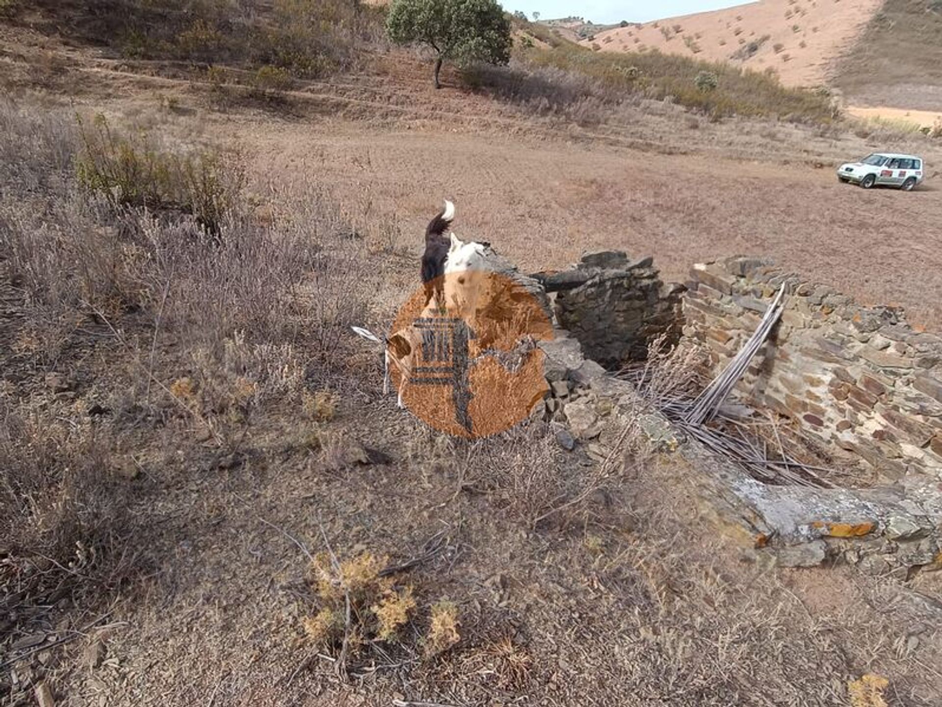 Tierra en Castro Marim, Faro District 12070041