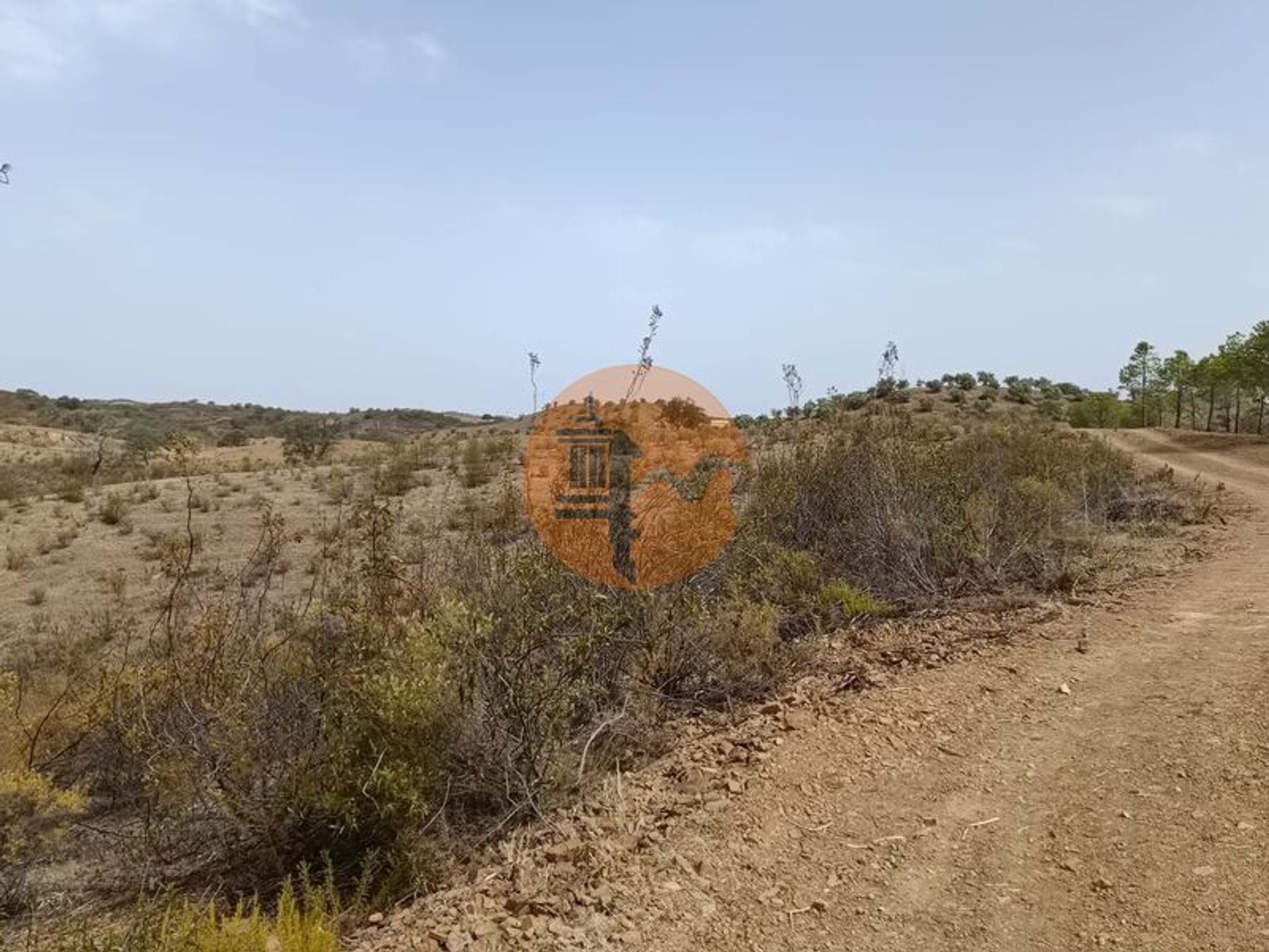 Land in Azinhal, Faro 12070042