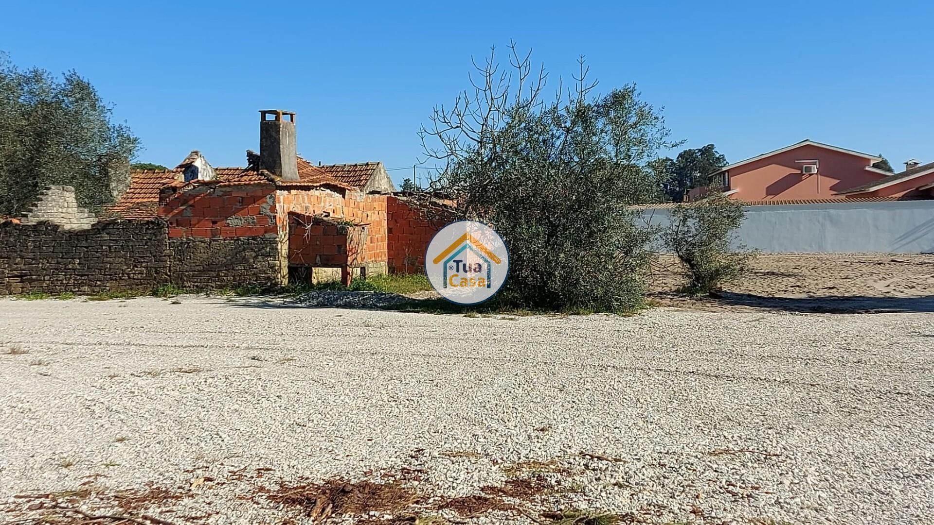 Tierra en Cadima, Coimbra 12070294