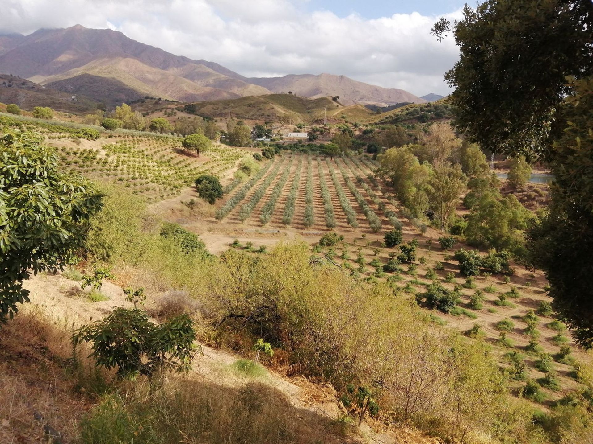 Osakehuoneisto sisään Mijas, Andalusia 12072100