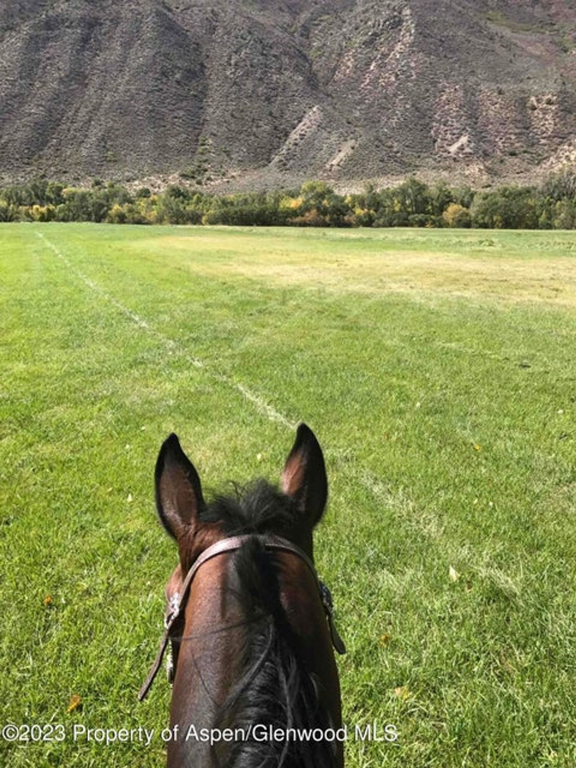 Terra no New Castle, Colorado 12072429