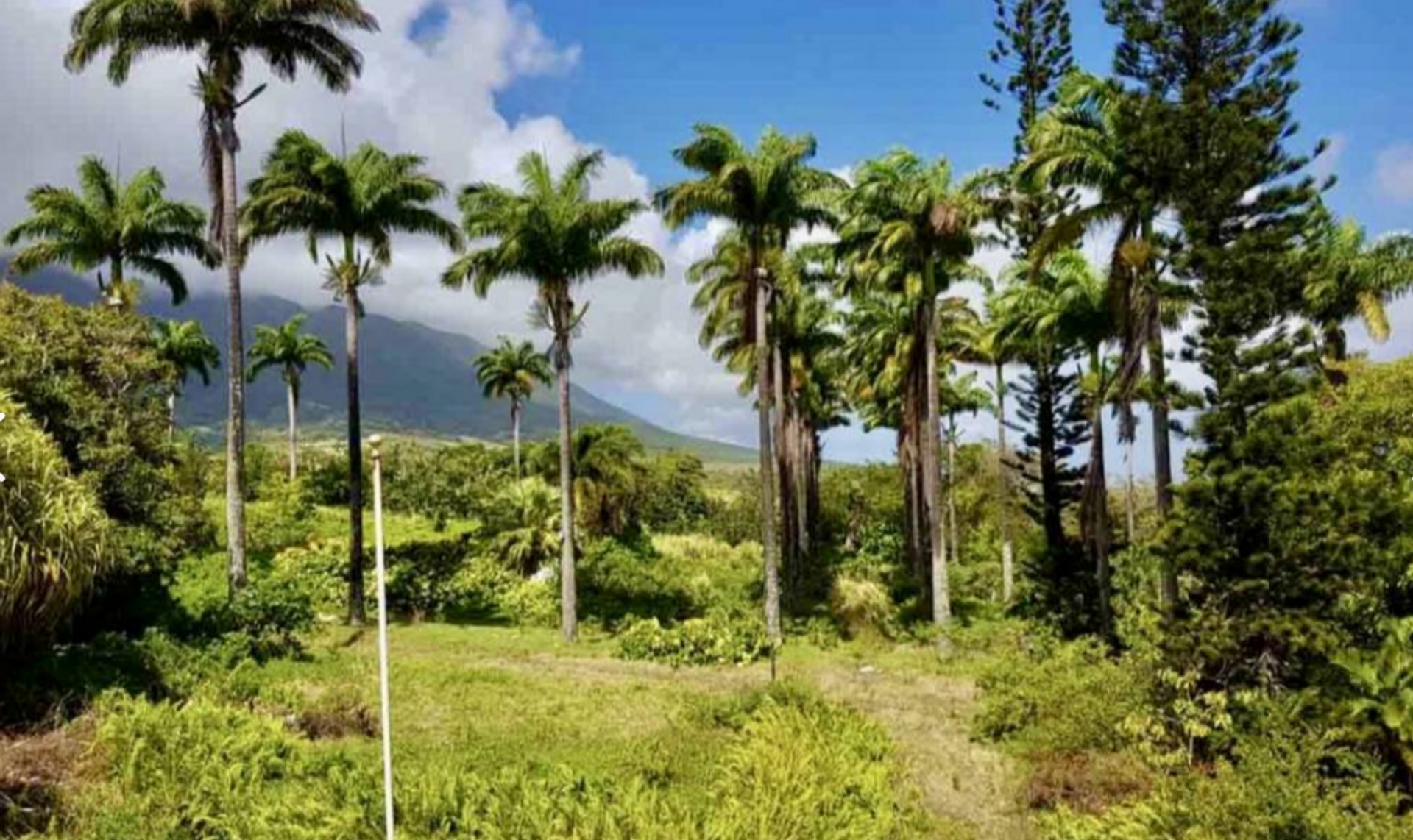 تجاري في , Saint George Basseterre Parish 12074107