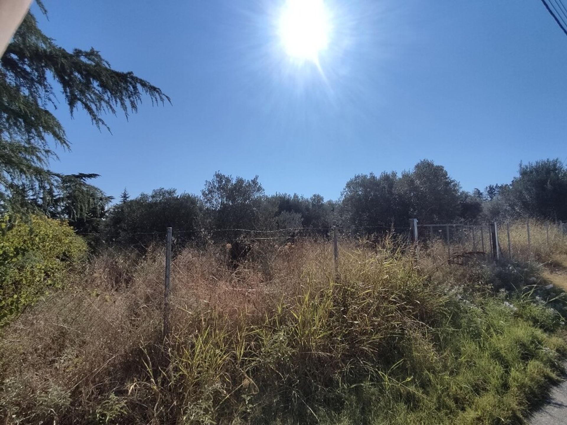 Γη σε Νέοι Επιβάτες, Κεντρική Μακεδονία 12074277