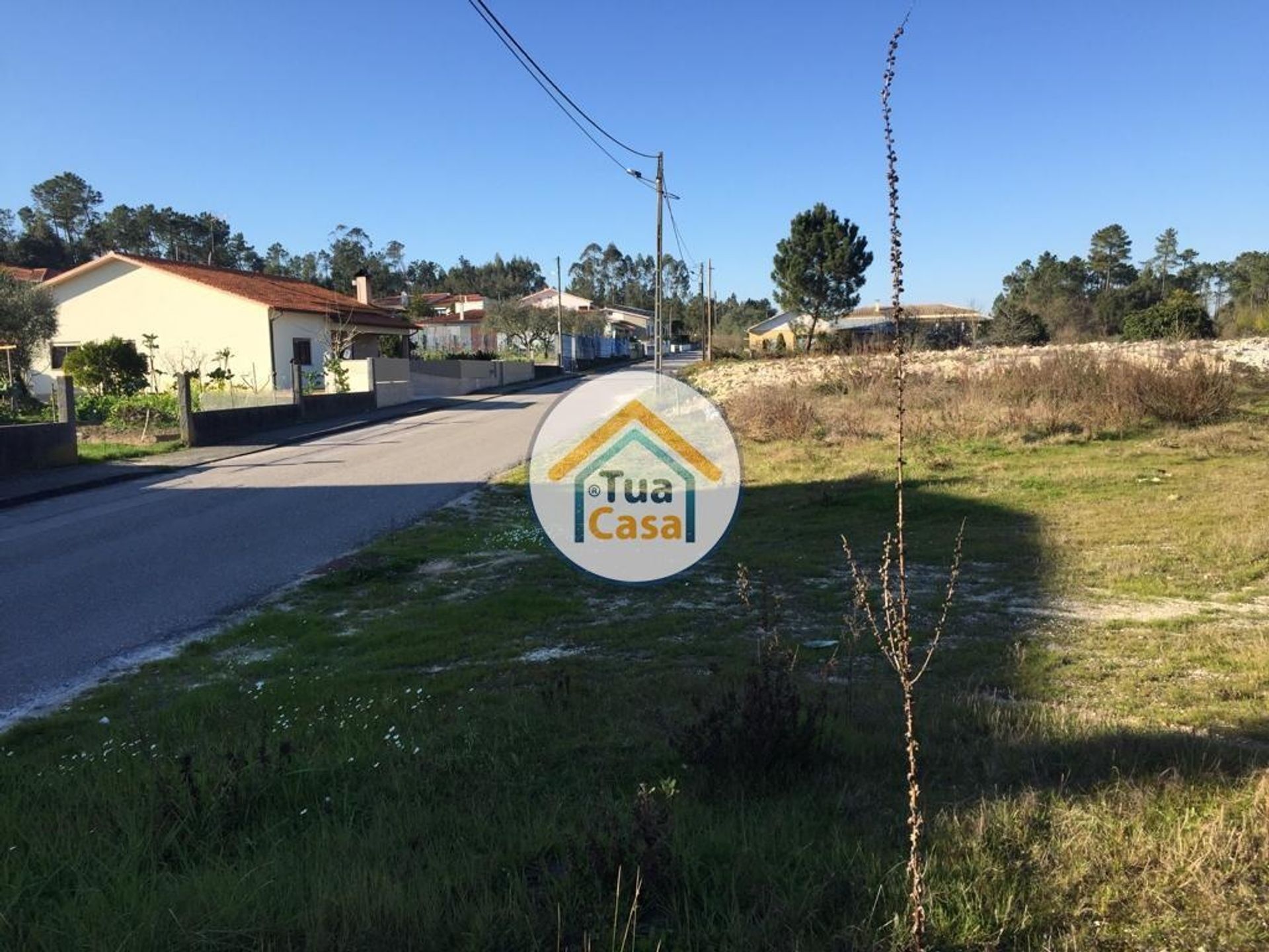 Tierra en agrio, Coímbra 12074353